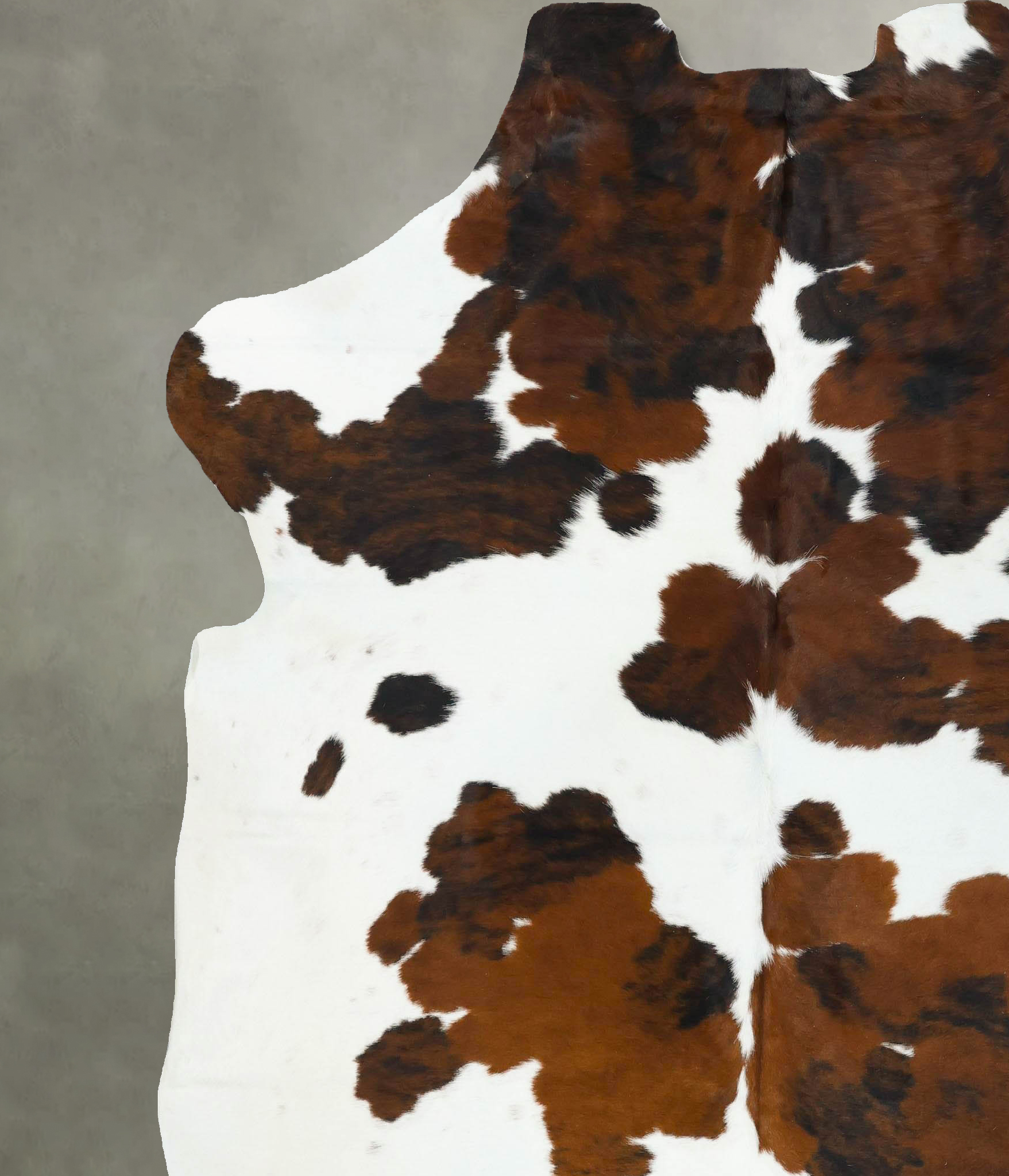 Tricolor Cowhide Rug #B22711
