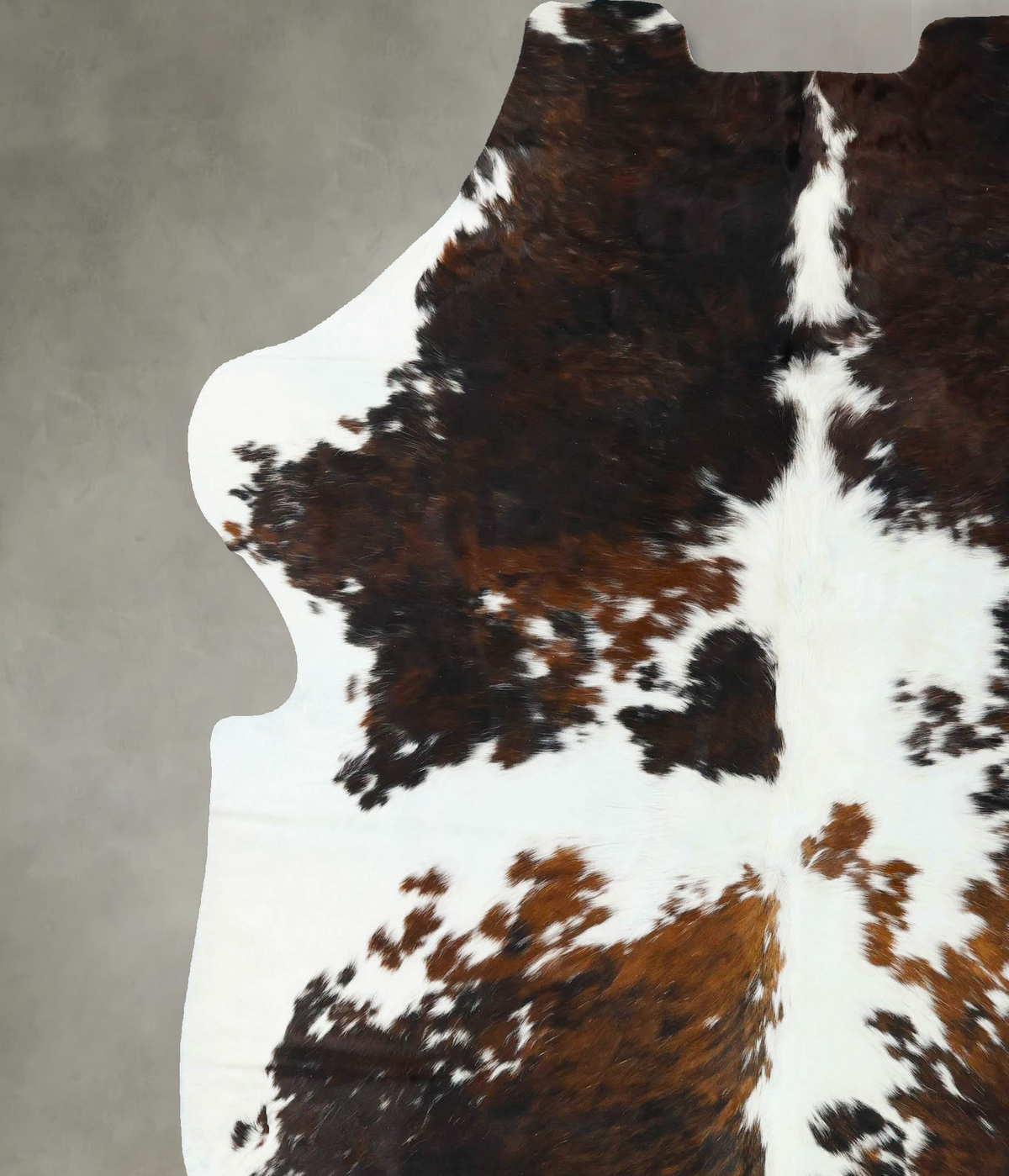 Tricolor XX-Large European Cowhide Rug 8'5"H x 7'0"W #B22713 by Hudson Hides