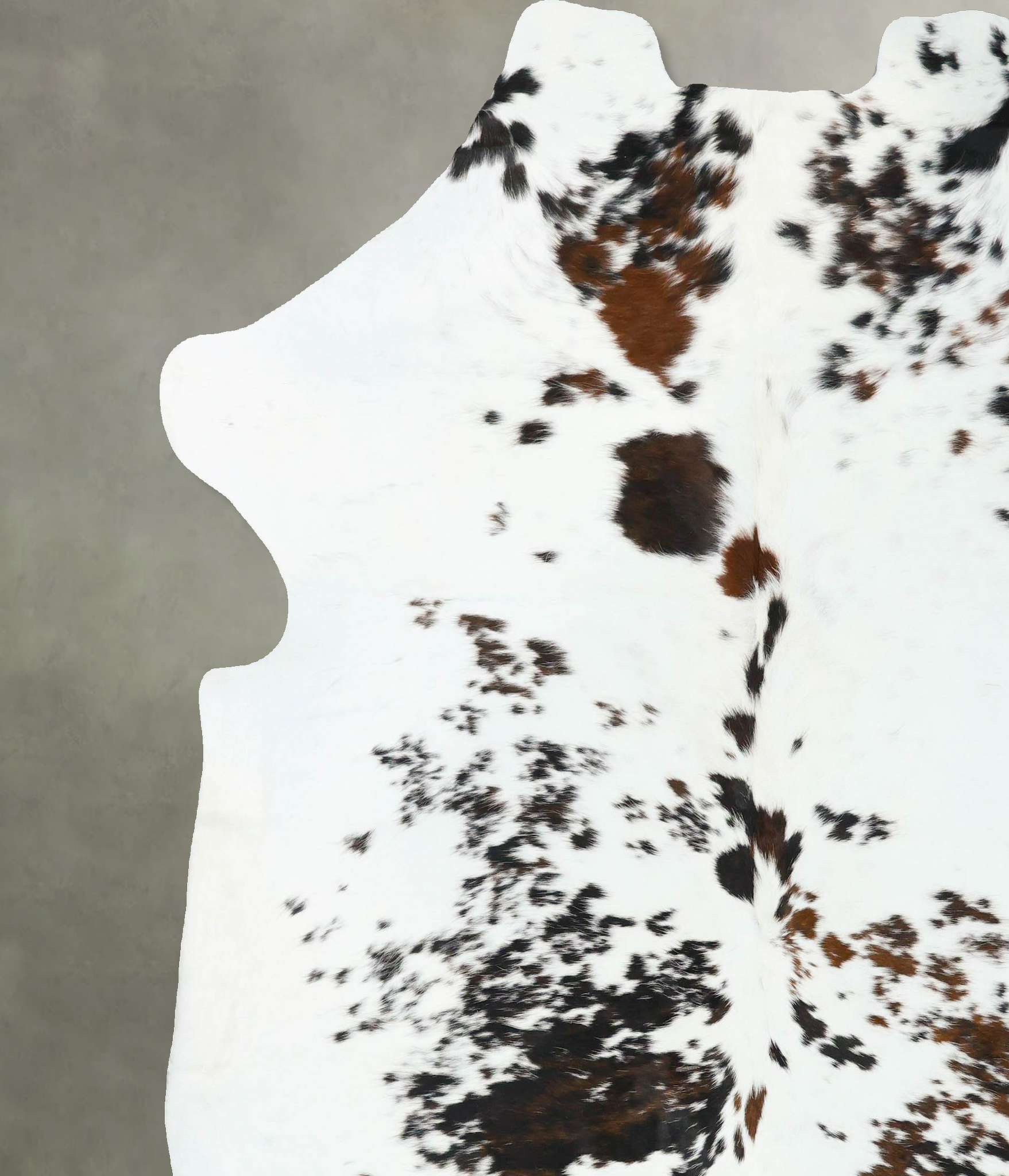 Tricolor Cowhide Rug #B22714