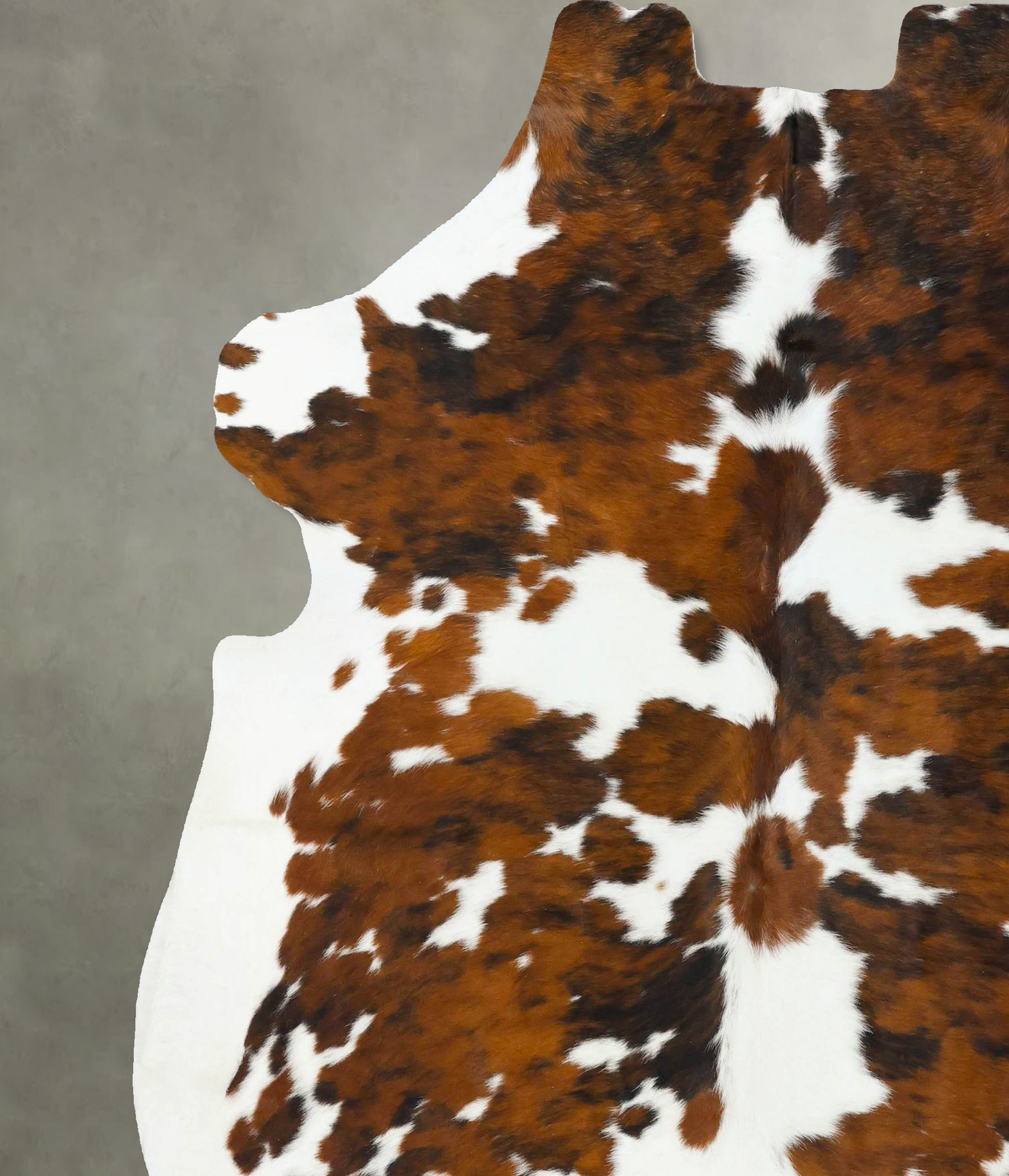 Tricolor XX-Large European Cowhide Rug 7'8"H x 7'2"W #B22715 by Hudson Hides
