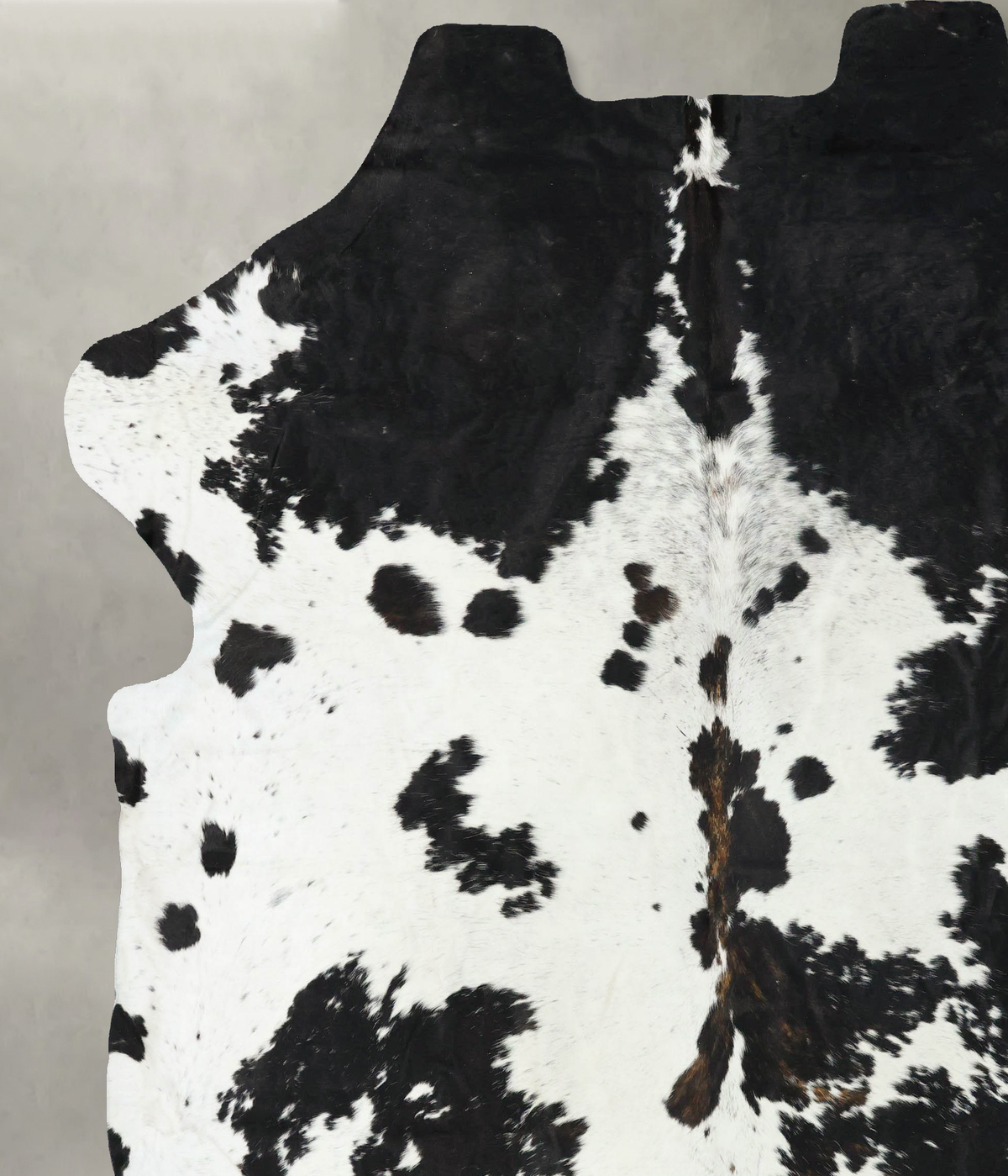 Tricolor XX-Large European Cowhide Rug 8'8"H x 7'8"W #B22717 by Hudson Hides