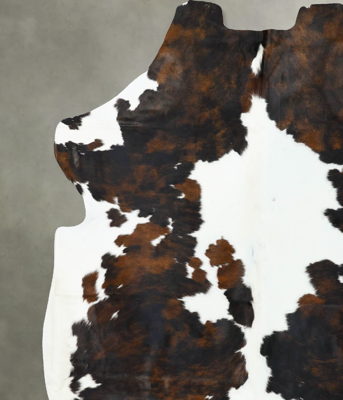 Tricolor XX-Large European Cowhide Rug 8'0"H x 7'3"W #B22719 by Hudson Hides