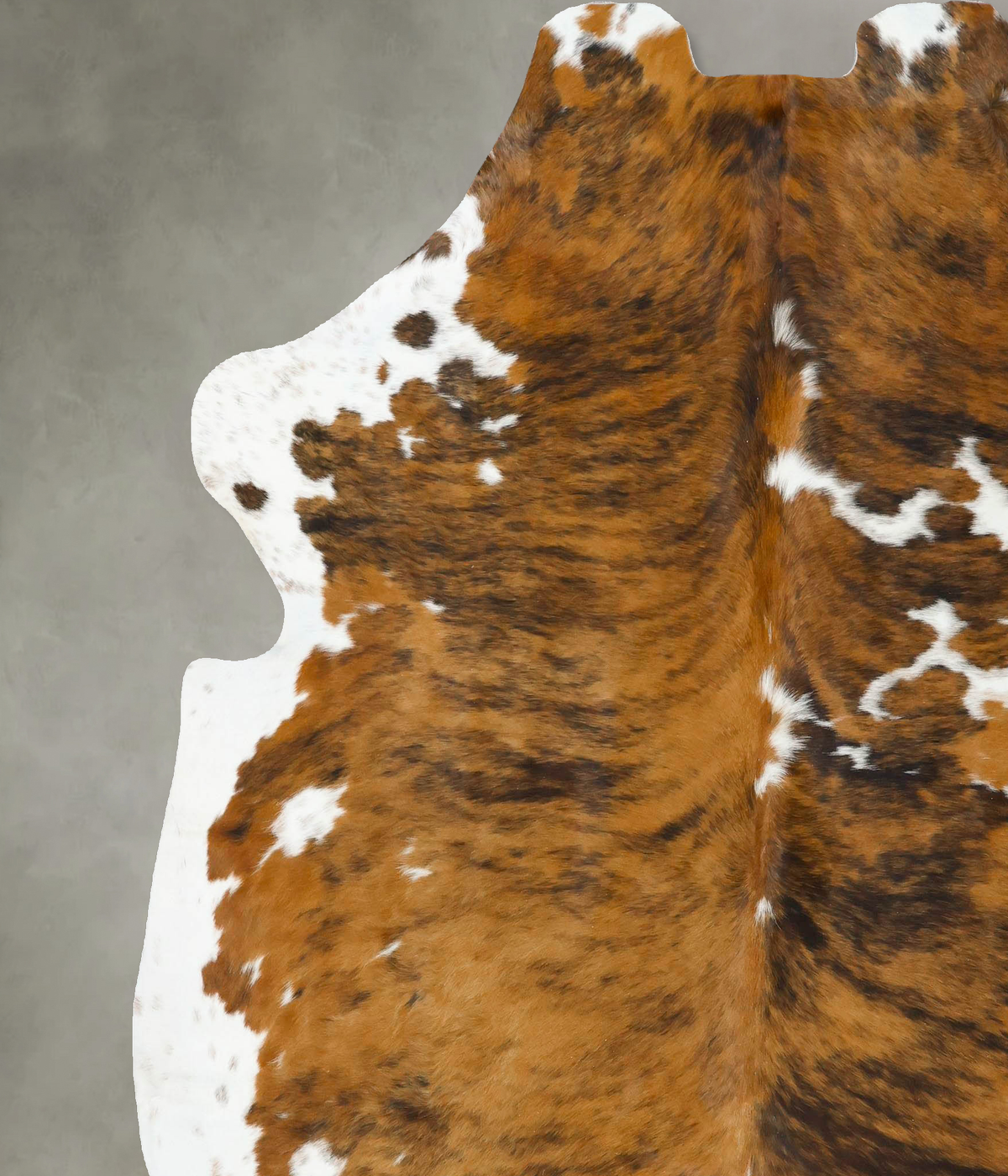 Tricolor XX-Large European Cowhide Rug 7'9"H x 6'10"W #B22723 by Hudson Hides