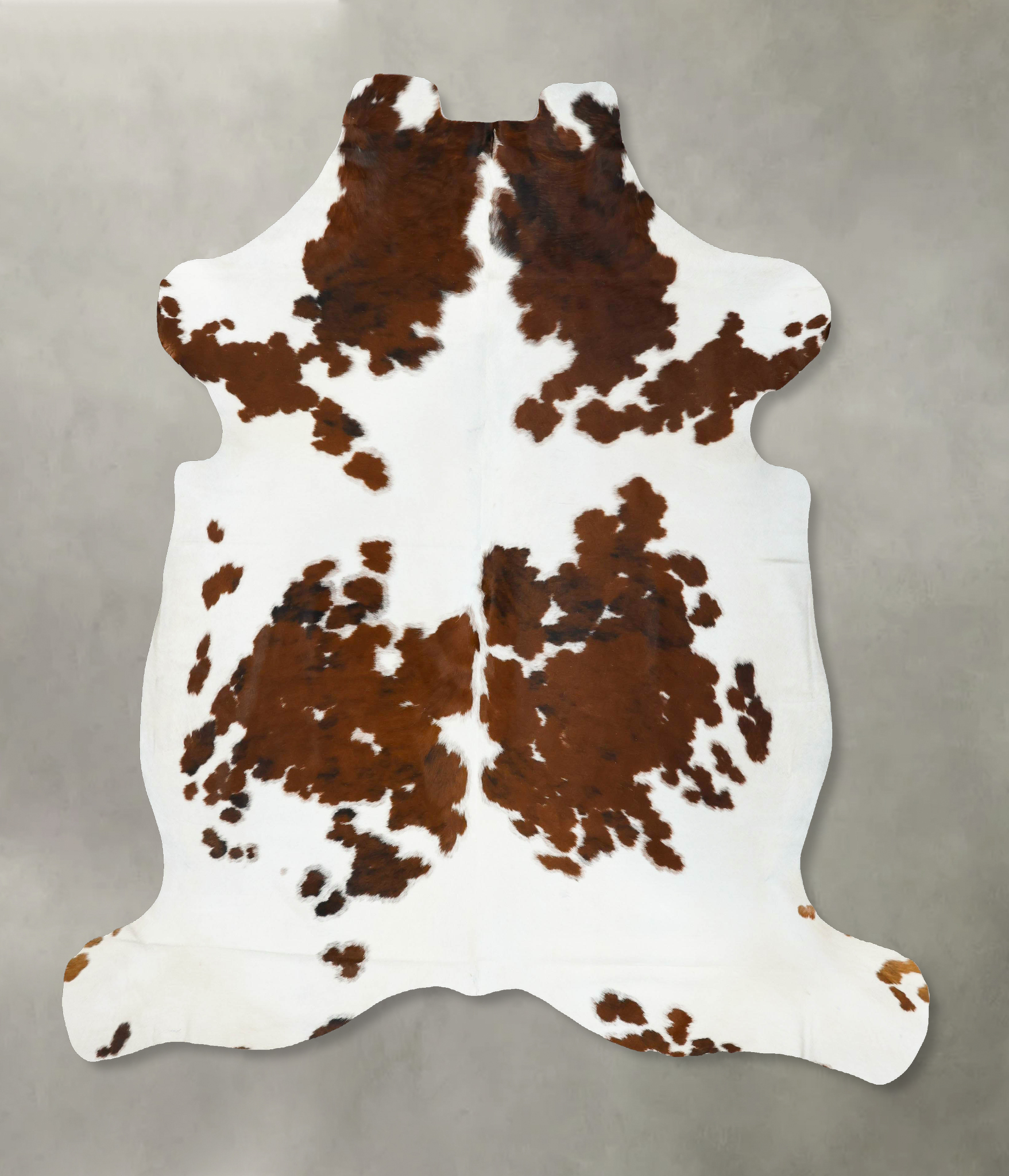 Tricolor Cowhide Rug #B22724