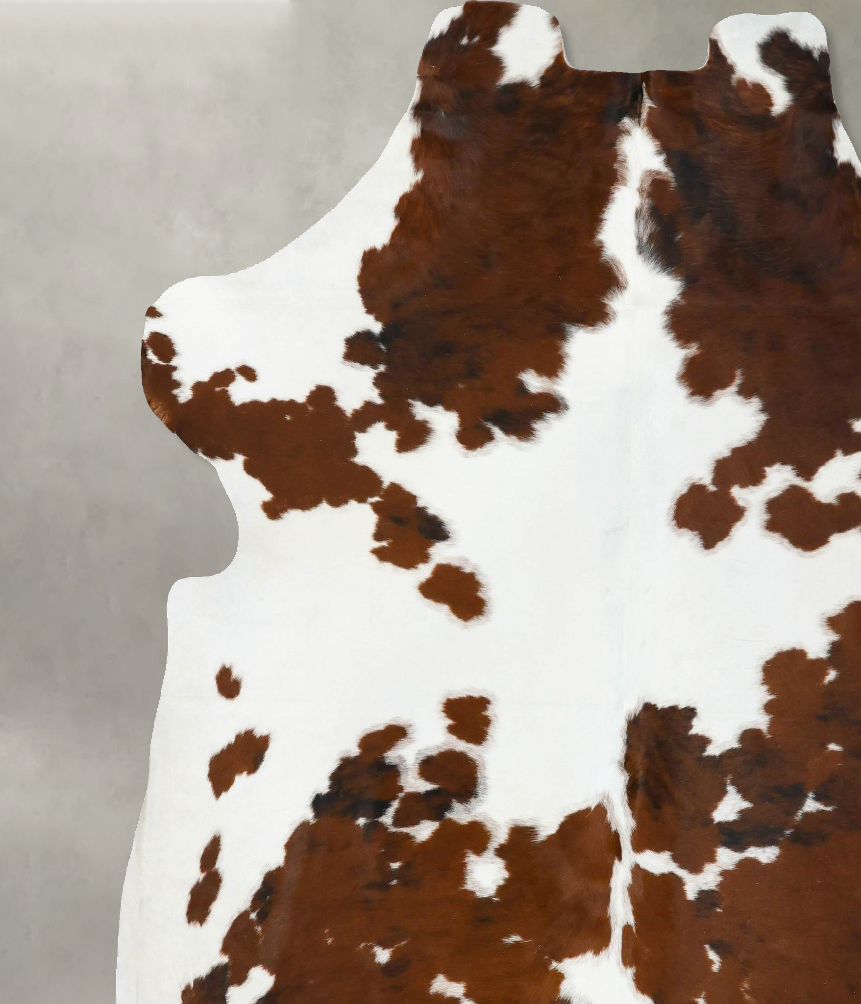Tricolor Cowhide Rug #B22724