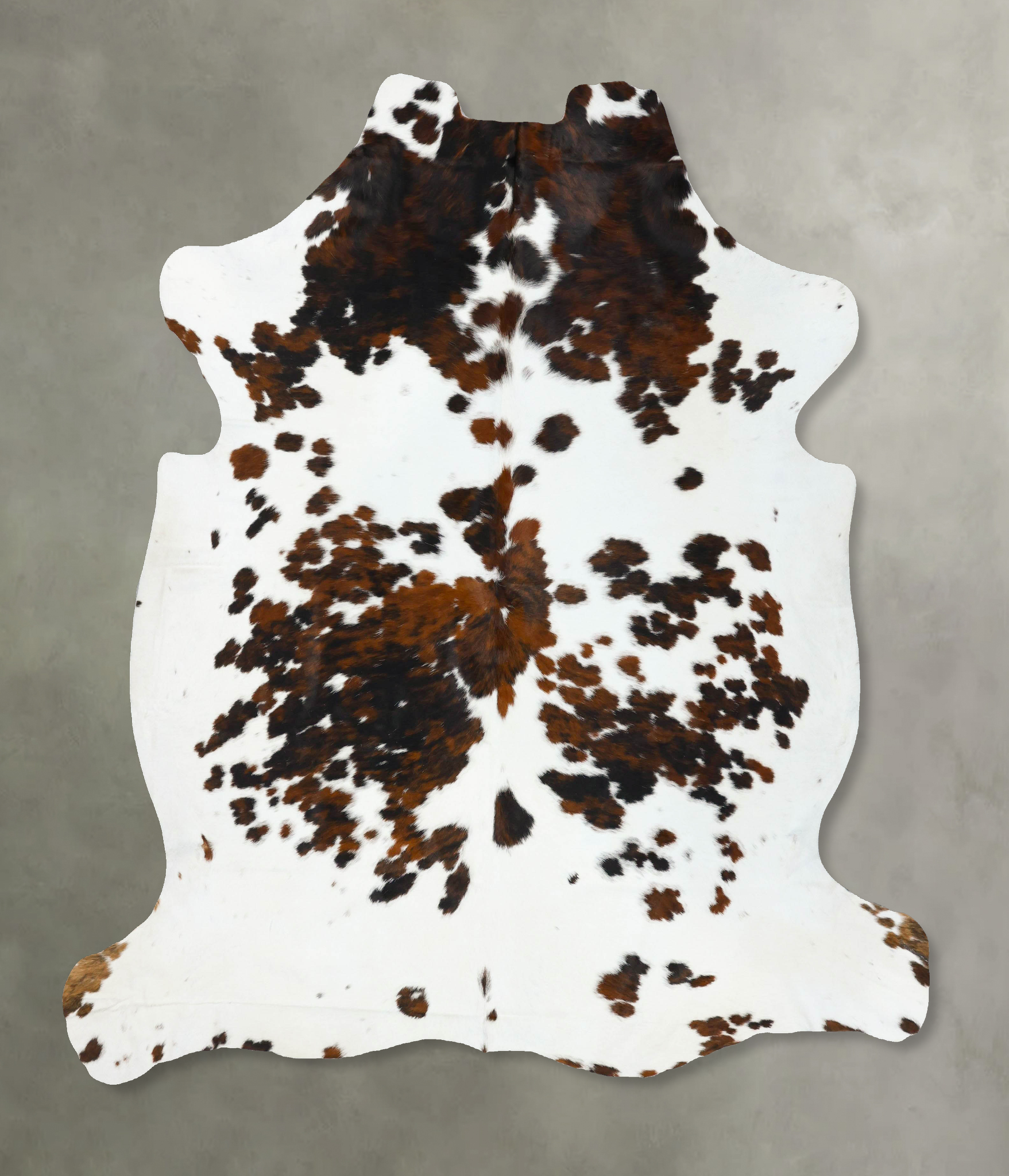 Tricolor Cowhide Rug #B22725