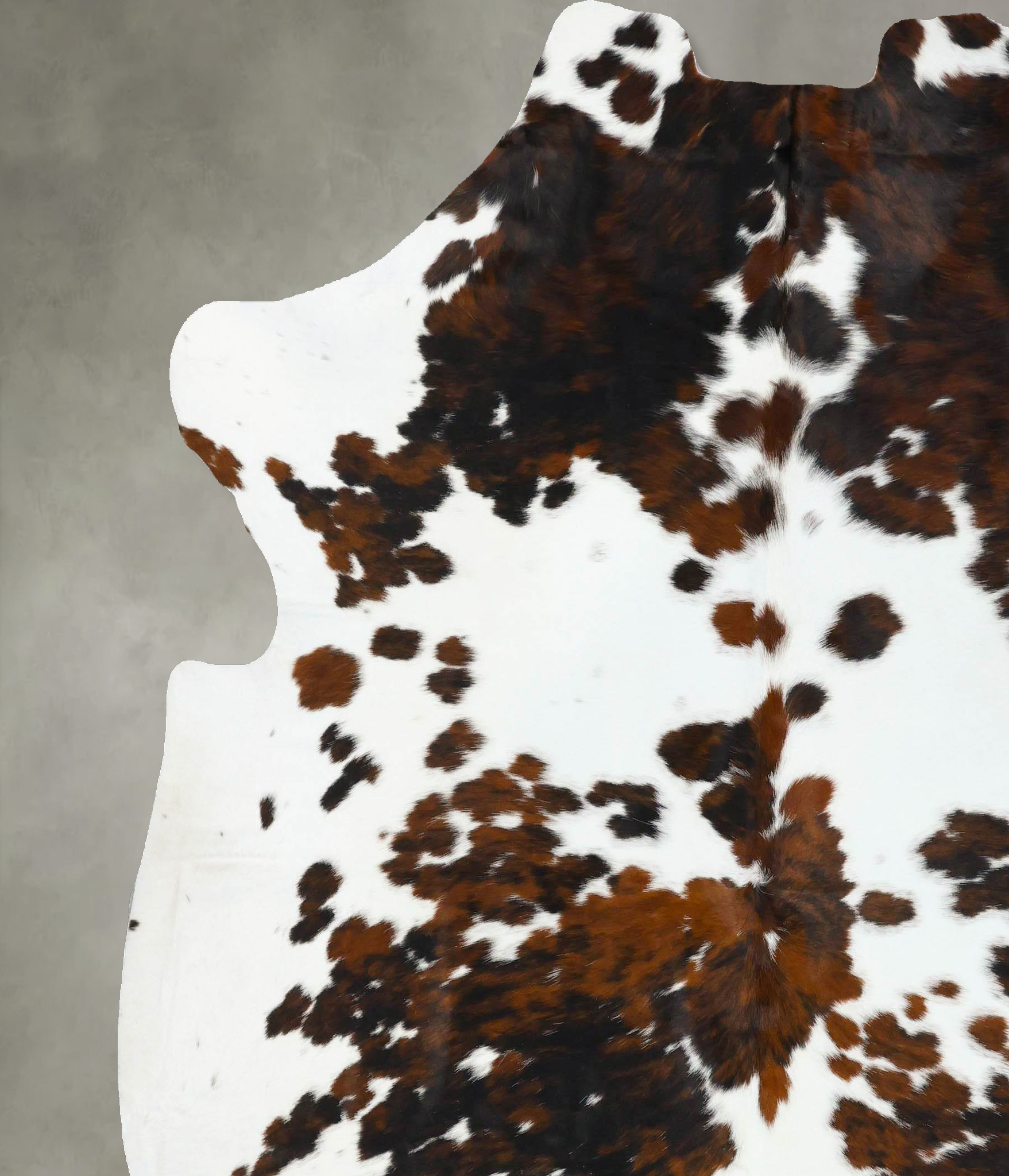 Tricolor Cowhide Rug #B22725