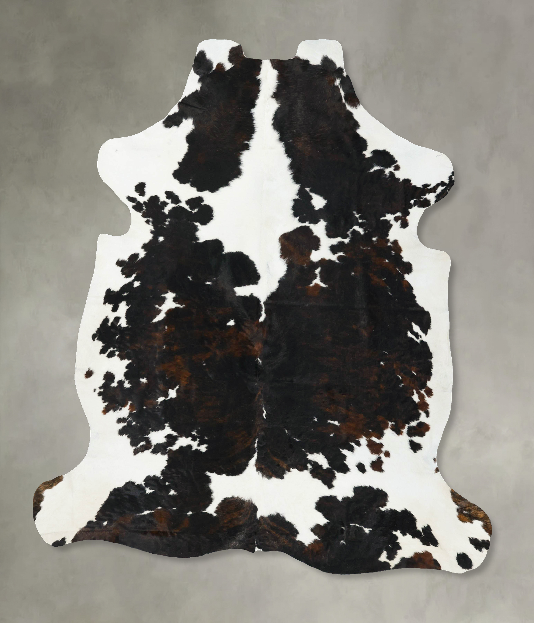 Tricolor Cowhide Rug #B22726