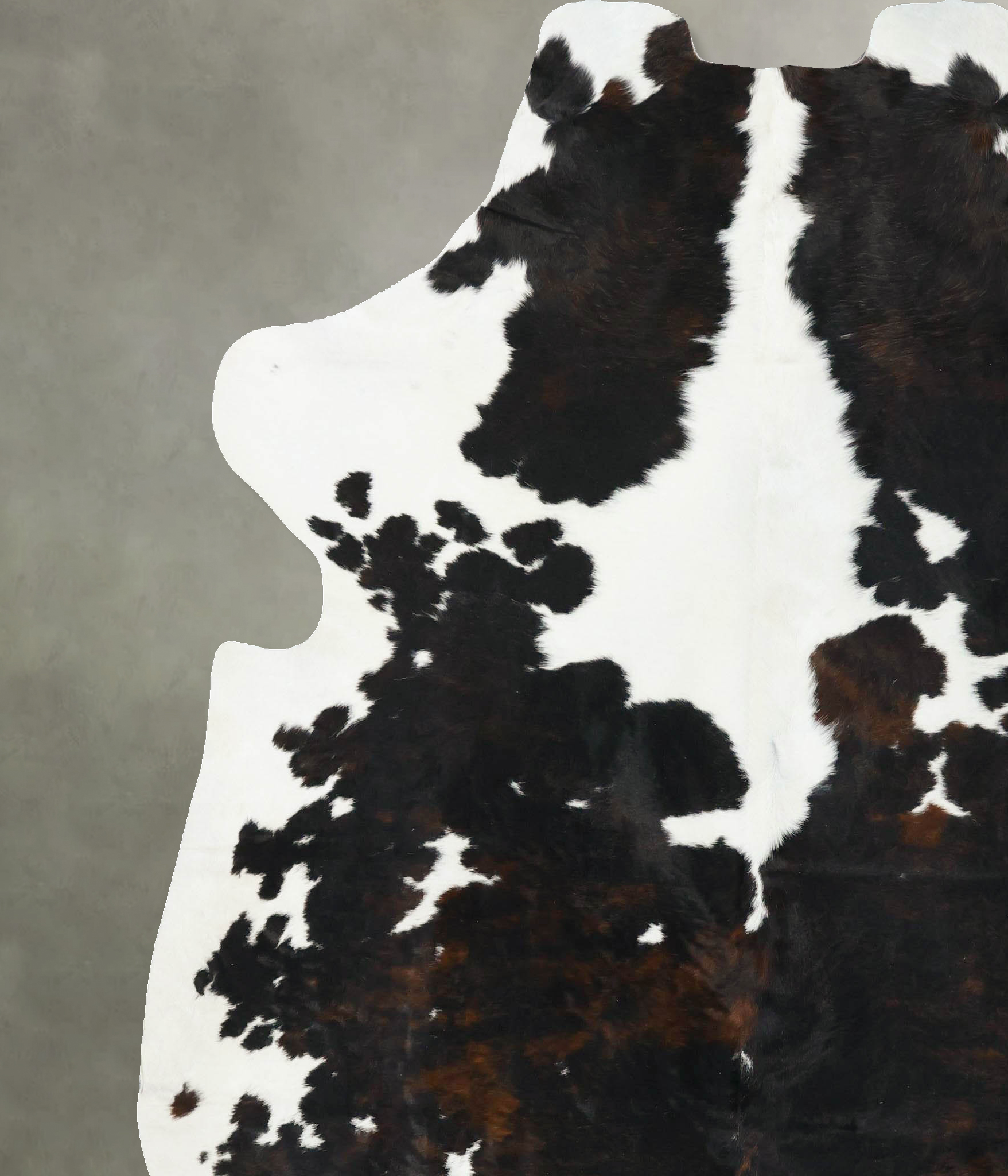Tricolor Cowhide Rug #B22726