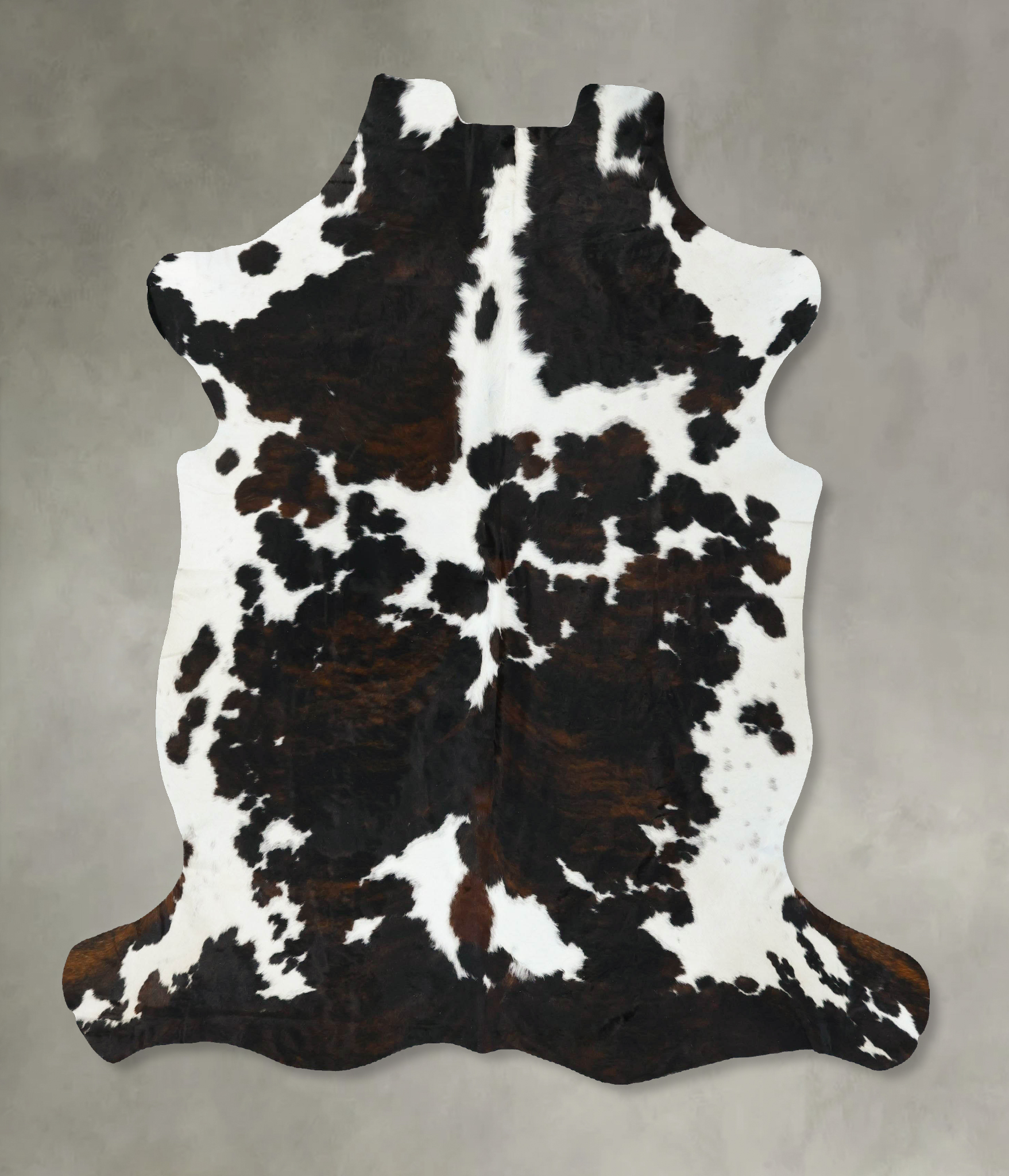 Tricolor Cowhide Rug #B22727