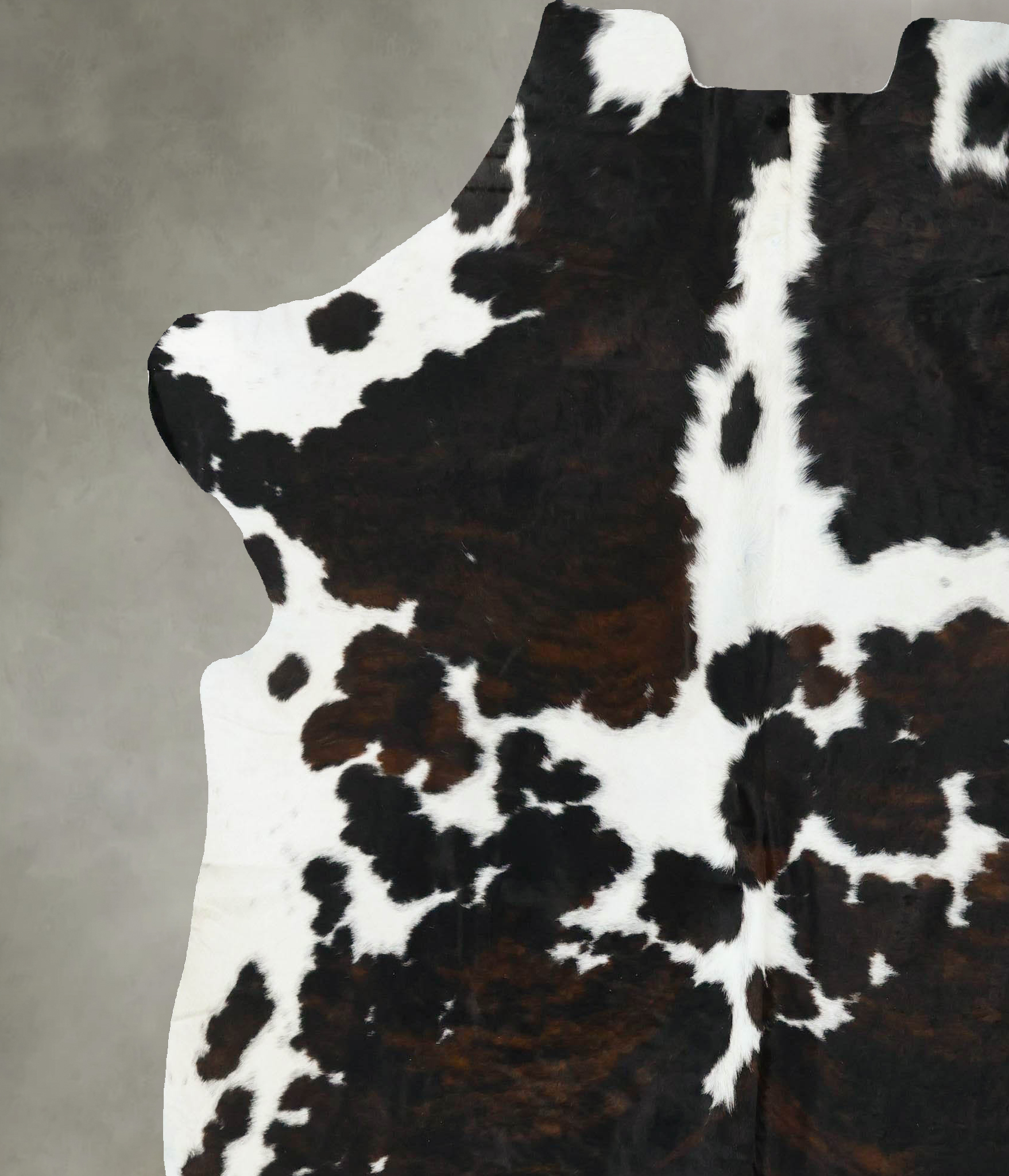 Tricolor Cowhide Rug #B22727