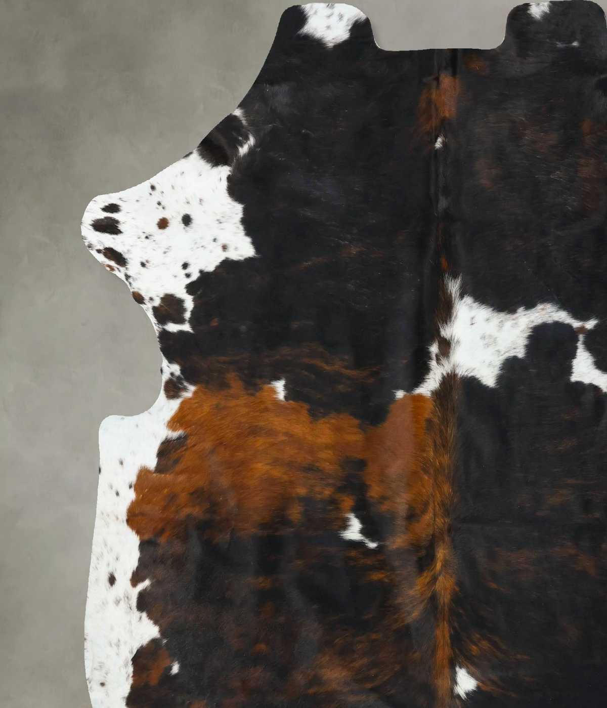 Tricolor XX-Large European Cowhide Rug 7'7"H x 6'10"W #B22730 by Hudson Hides
