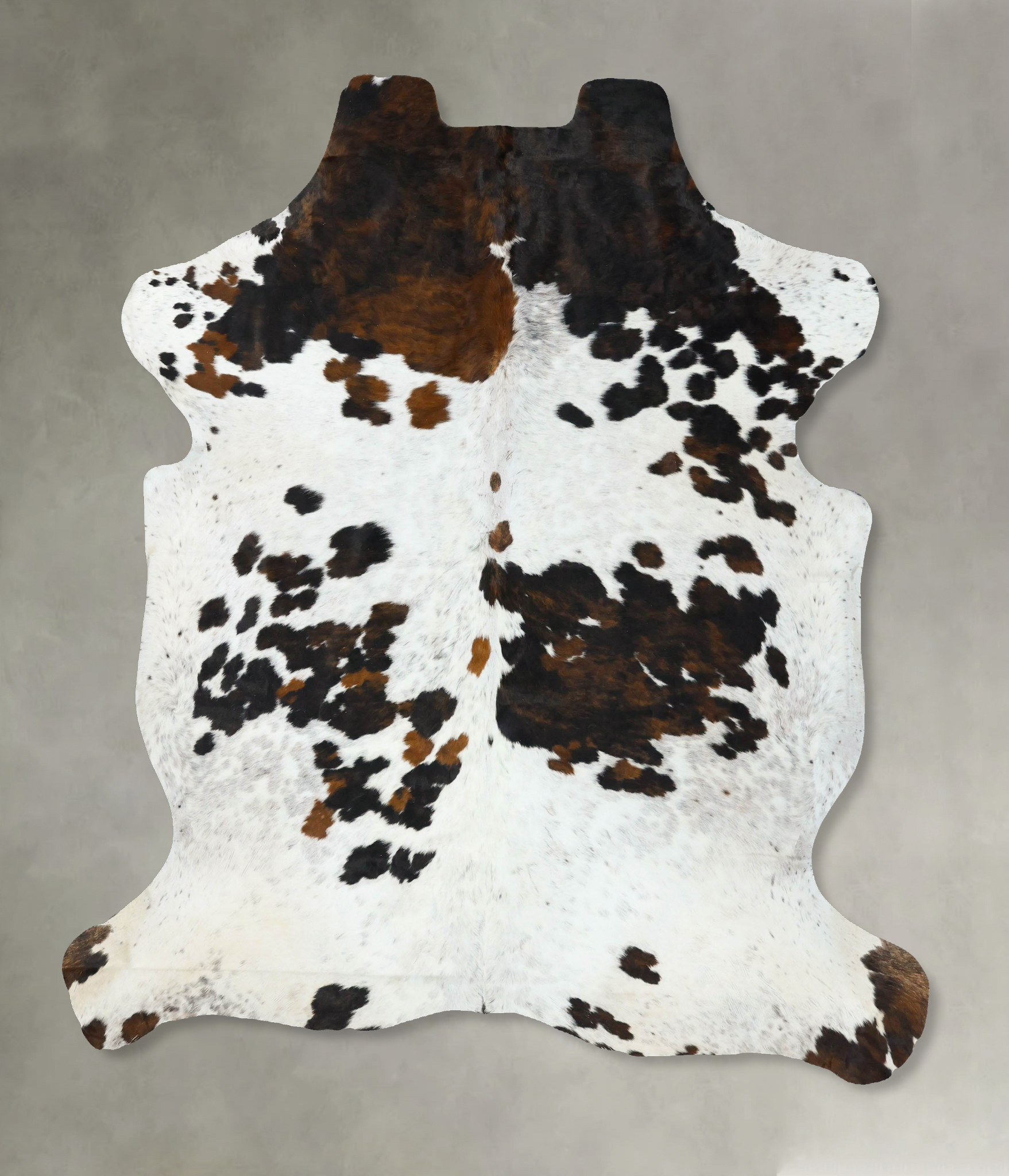 Tricolor Cowhide Rug #B22731
