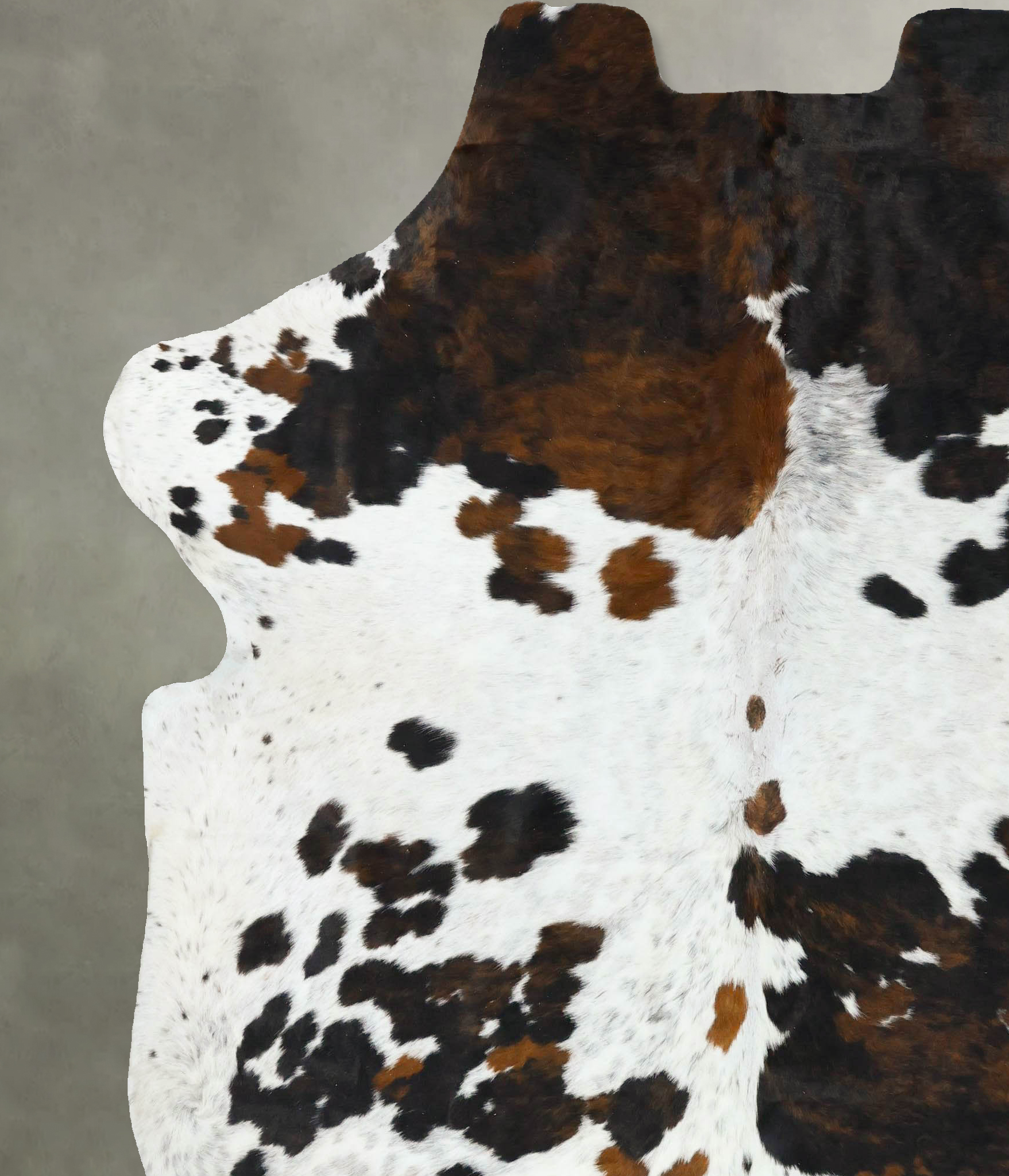 Tricolor Cowhide Rug #B22731