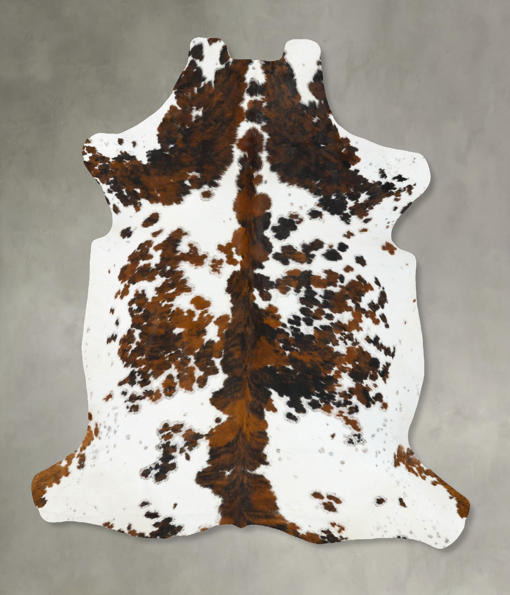 Tricolor Cowhide Rug #B22733