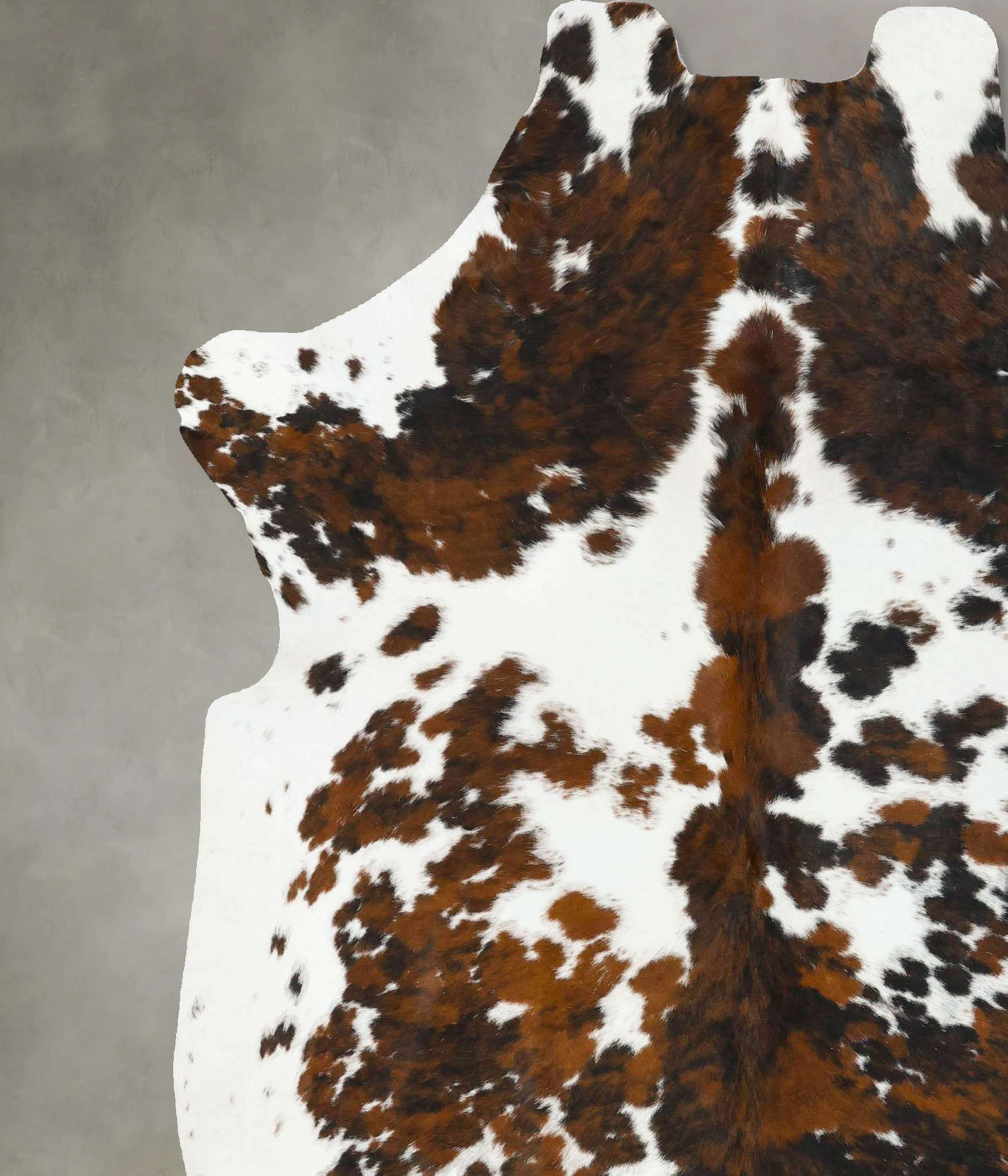 Tricolor Cowhide Rug #B22733