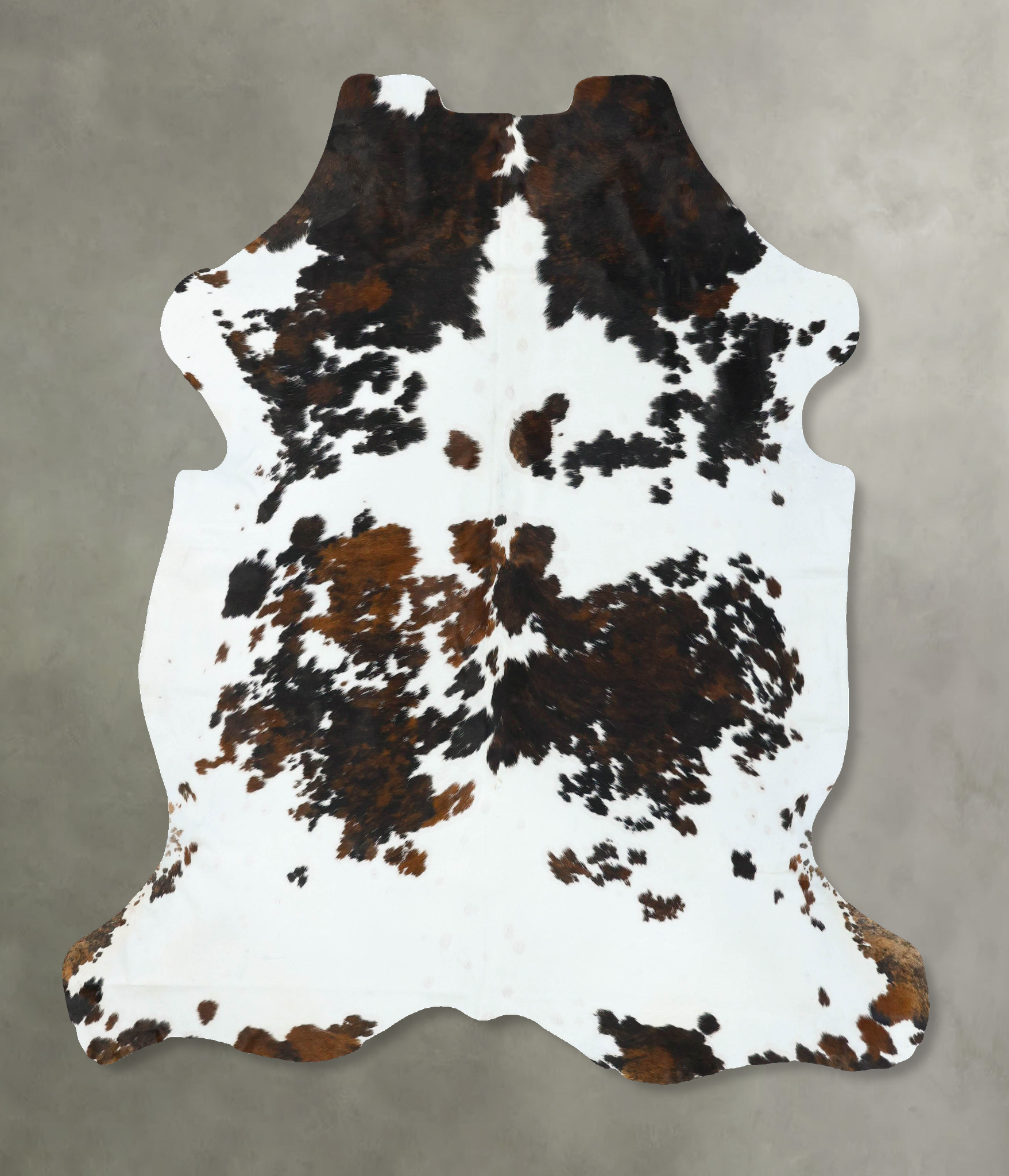 Tricolor Cowhide Rug #B22736
