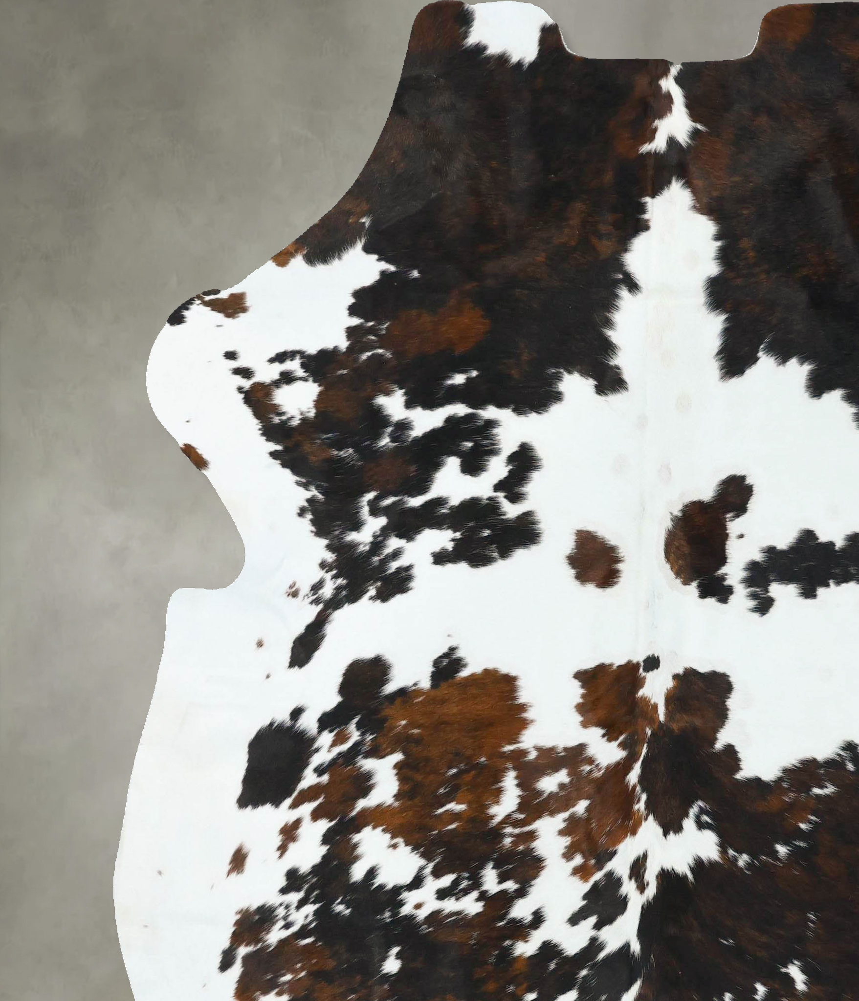 Tricolor Cowhide Rug #B22736