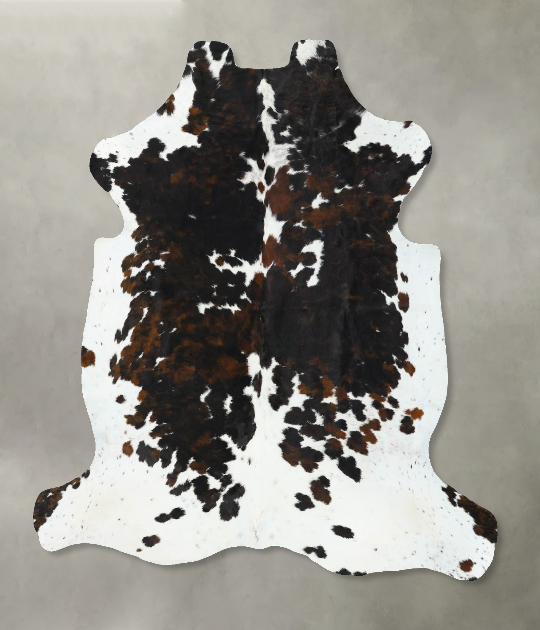 Tricolor Cowhide Rug #B22737
