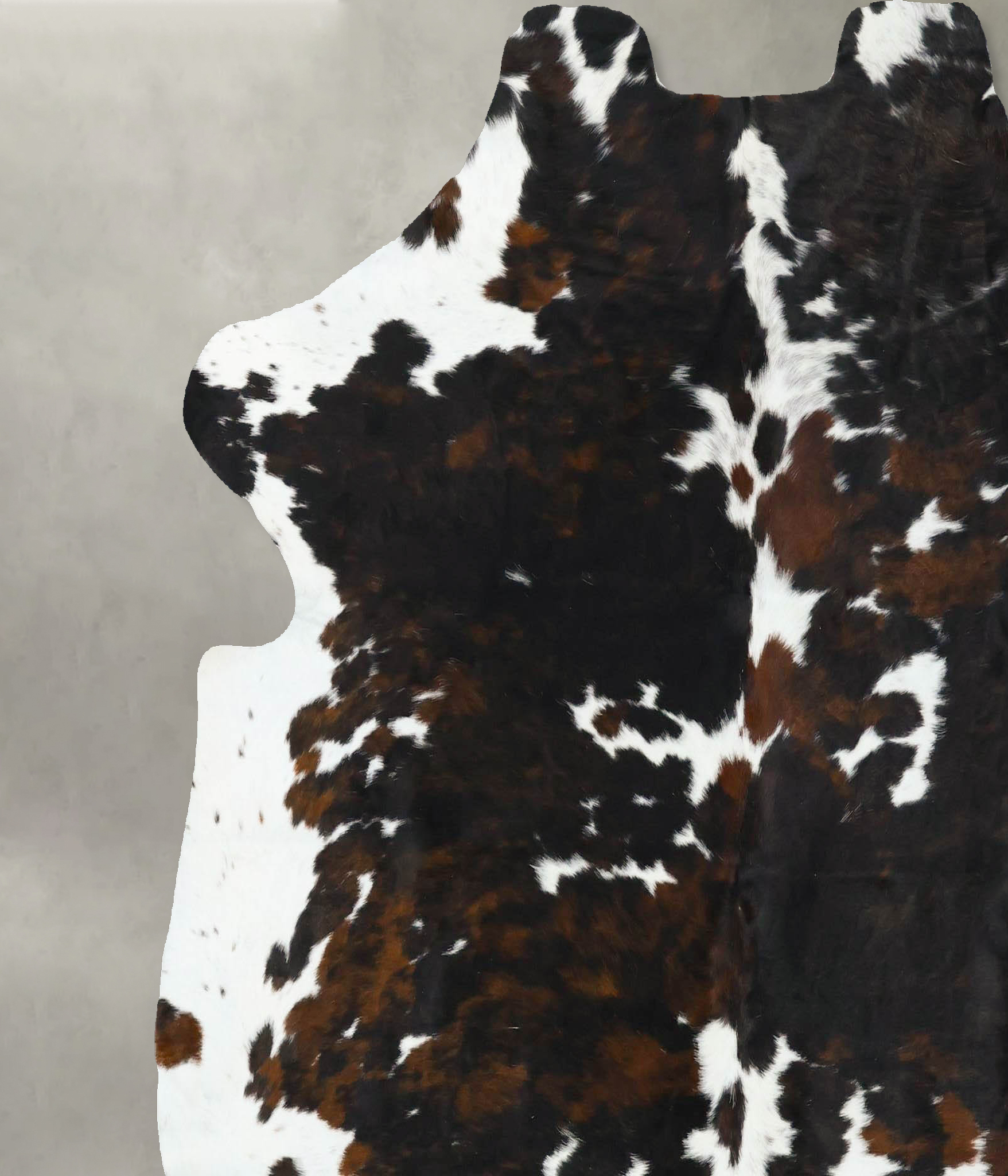 Tricolor Cowhide Rug #B22737