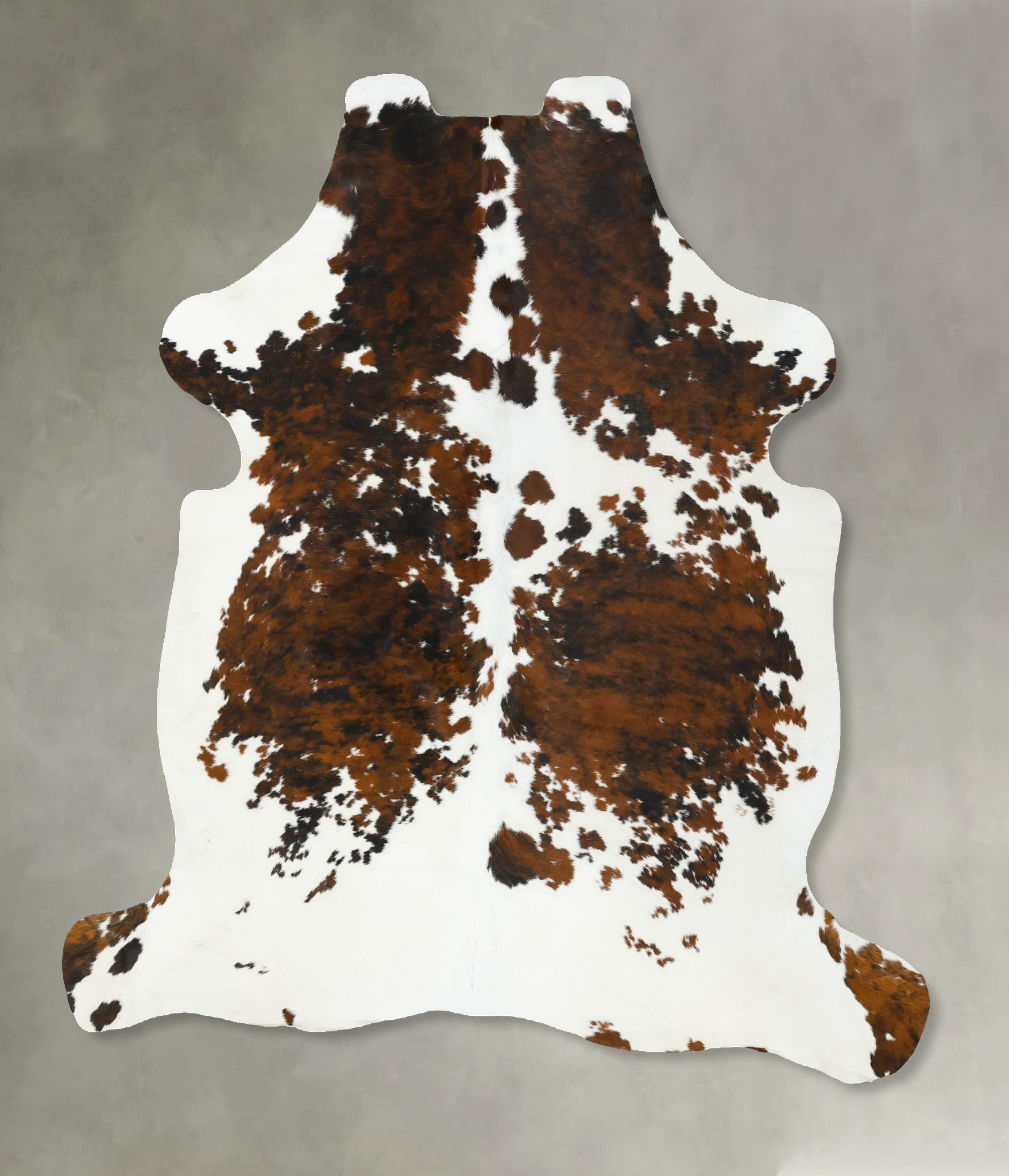 Tricolor Cowhide Rug #B22742