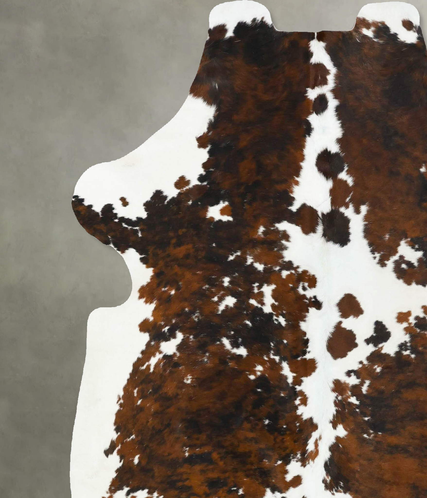 Tricolor Cowhide Rug #B22742