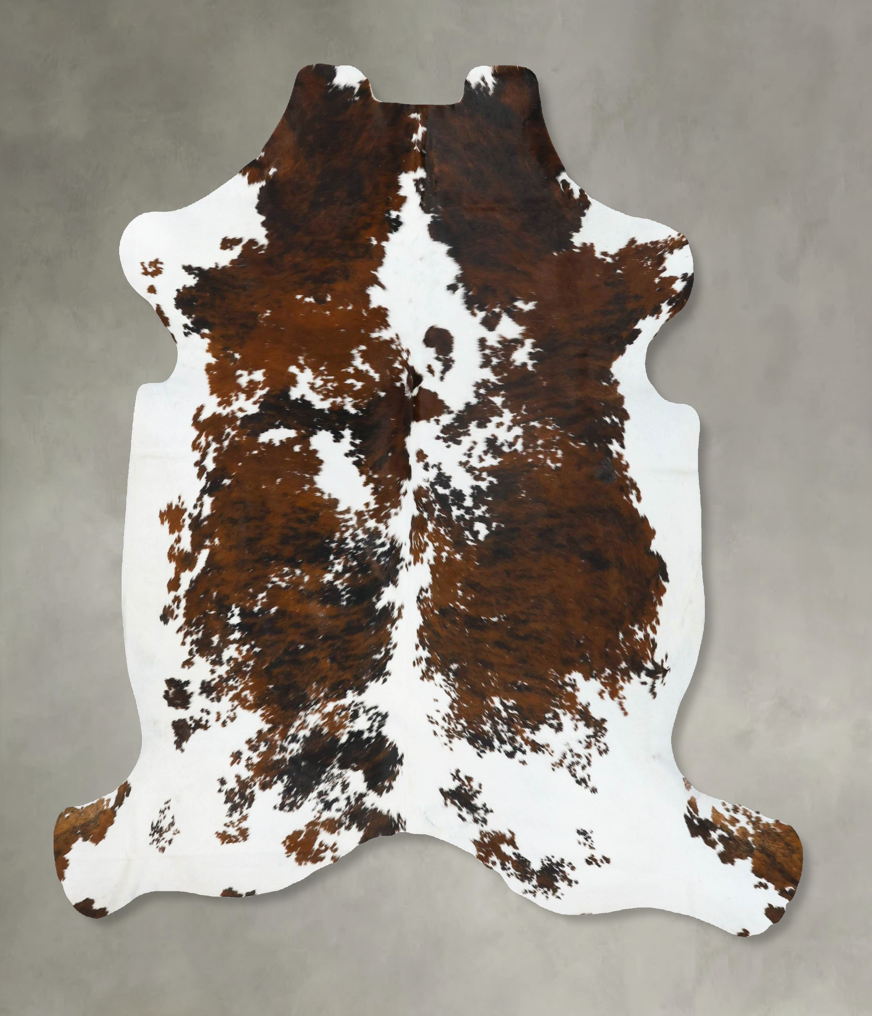 Tricolor Cowhide Rug #B22743