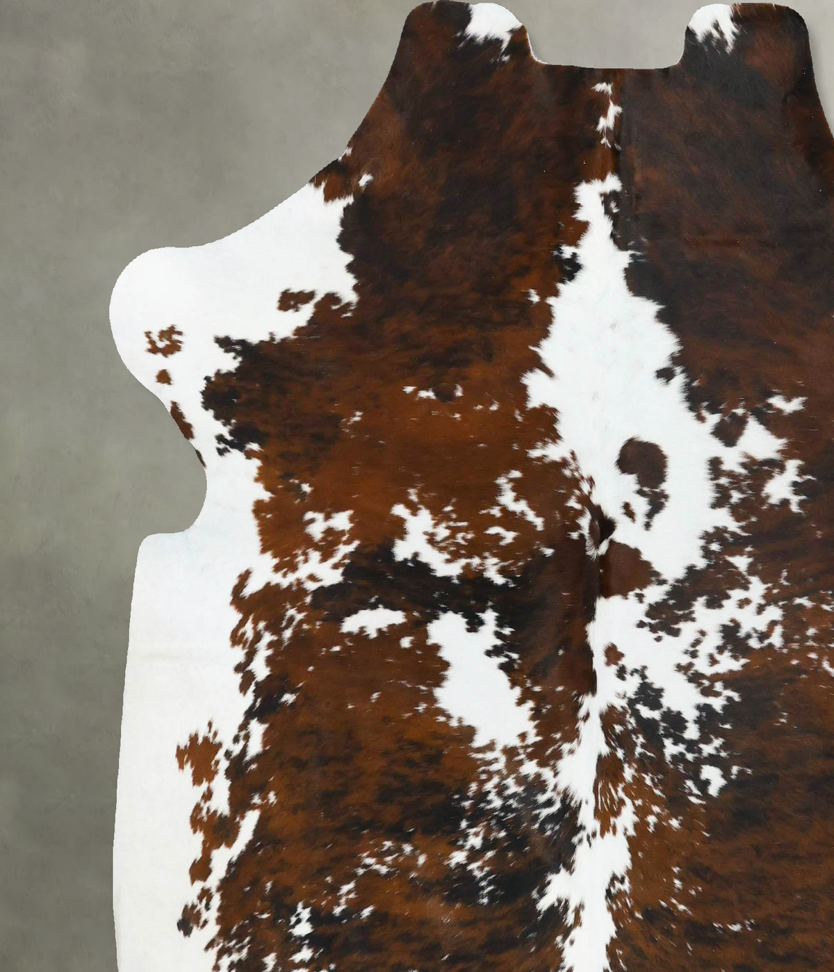 Tricolor X-Large European Cowhide Rug 6'10"H x 6'2"W #B22743 by Hudson Hides