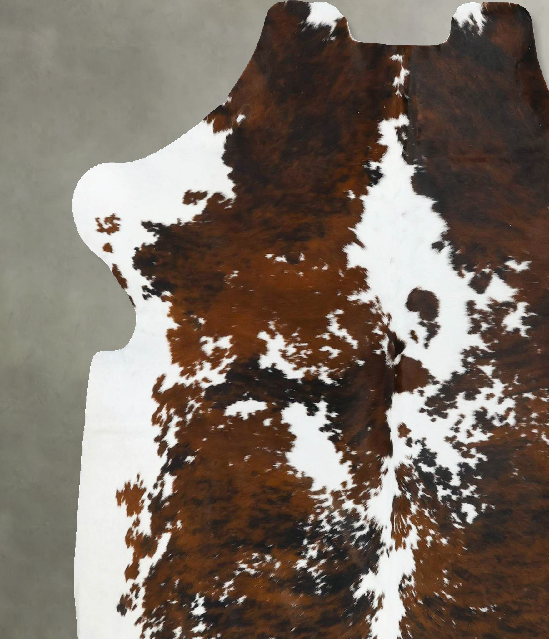 Tricolor Cowhide Rug #B22743