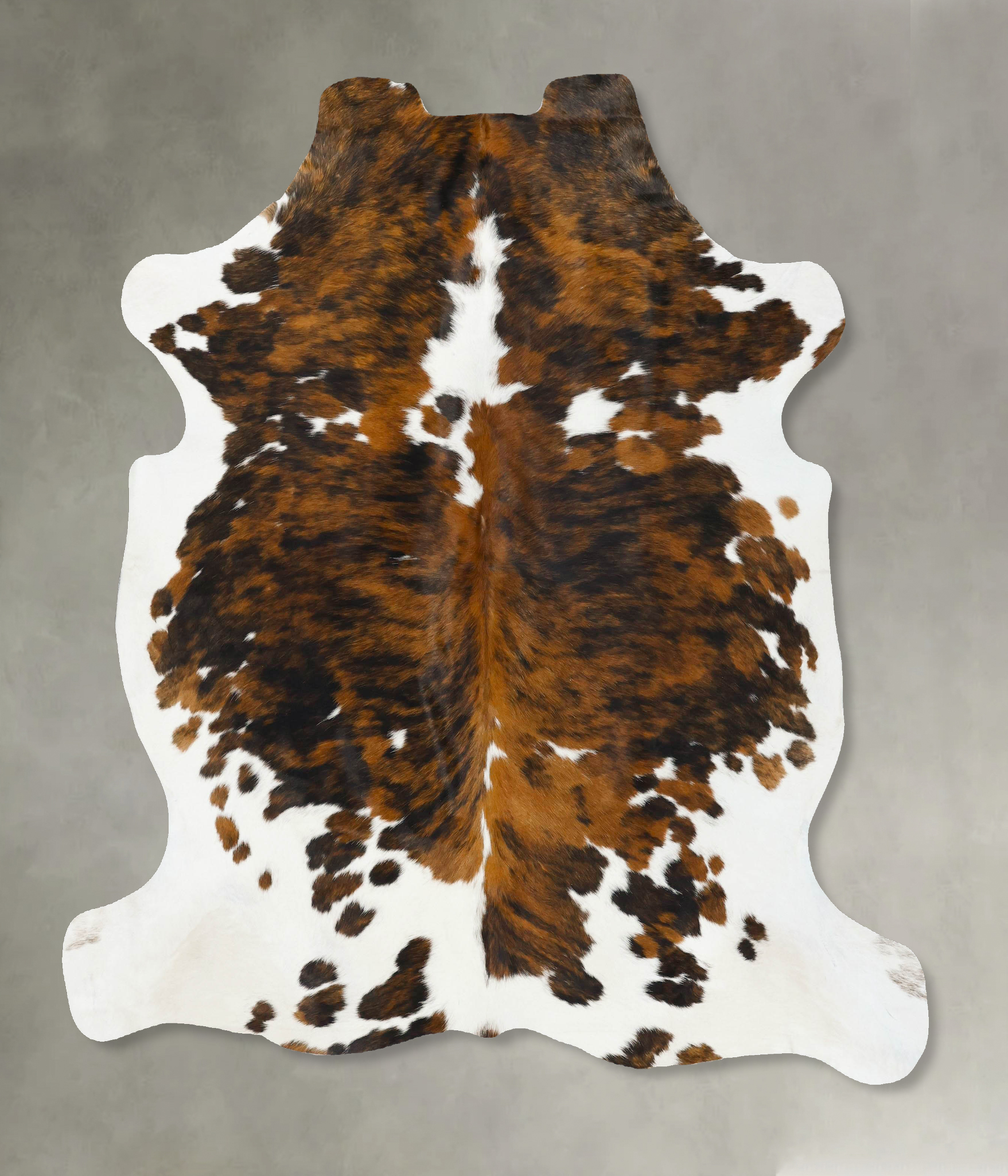 Tricolor Cowhide Rug #B22746