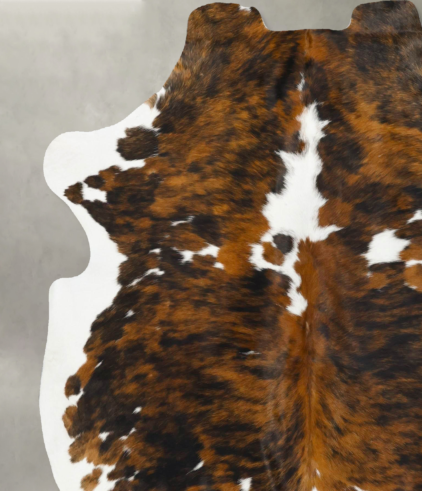 Tricolor Cowhide Rug #B22746