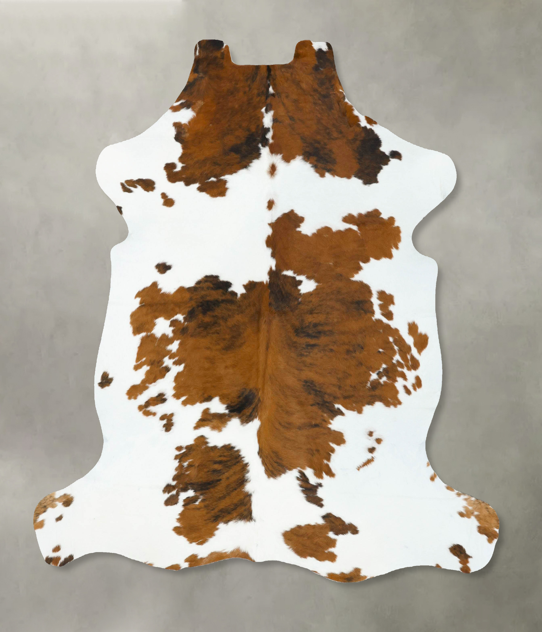 Tricolor Cowhide Rug #B22748