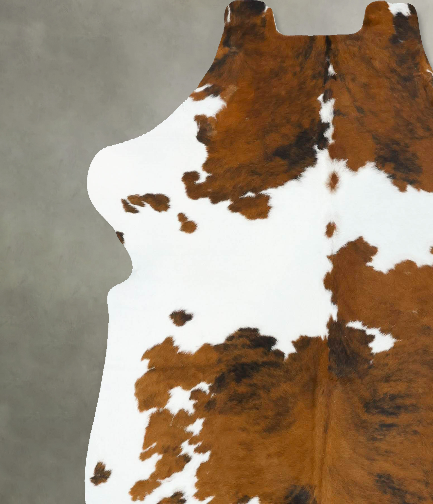 Tricolor Cowhide Rug #B22748