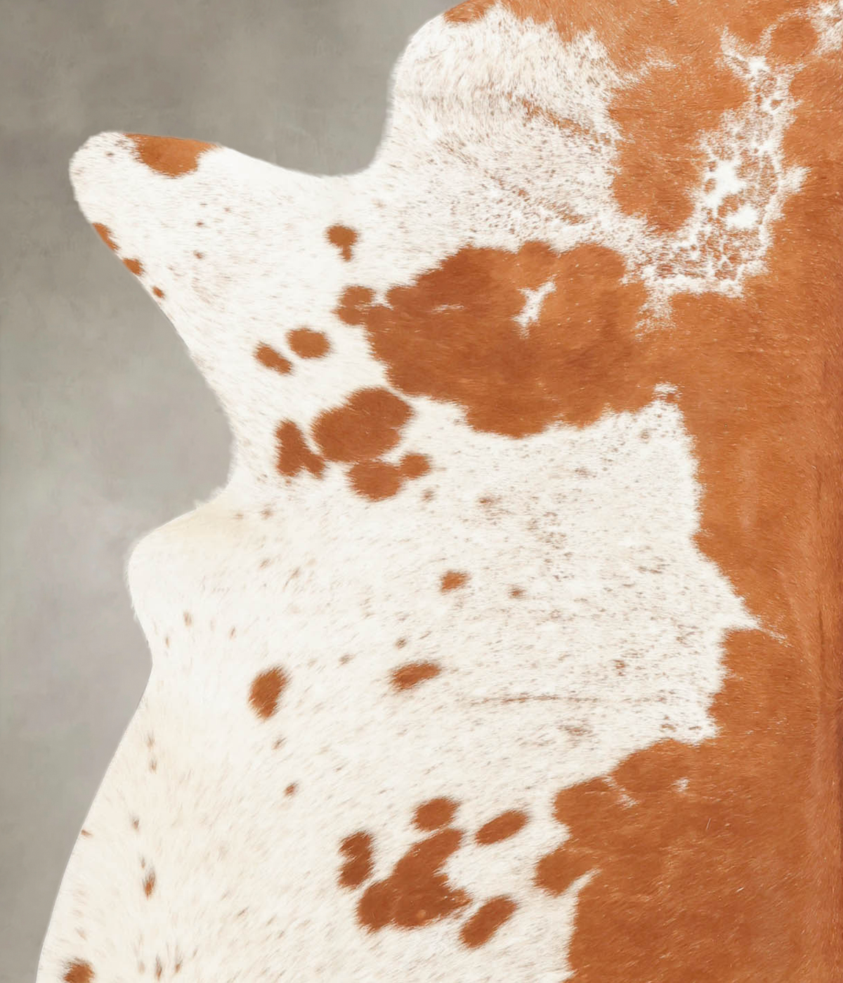 Brown and White X-Large Brazilian Cowhide Rug 7'0"H x 6'4"W #B2275 by Hudson Hides