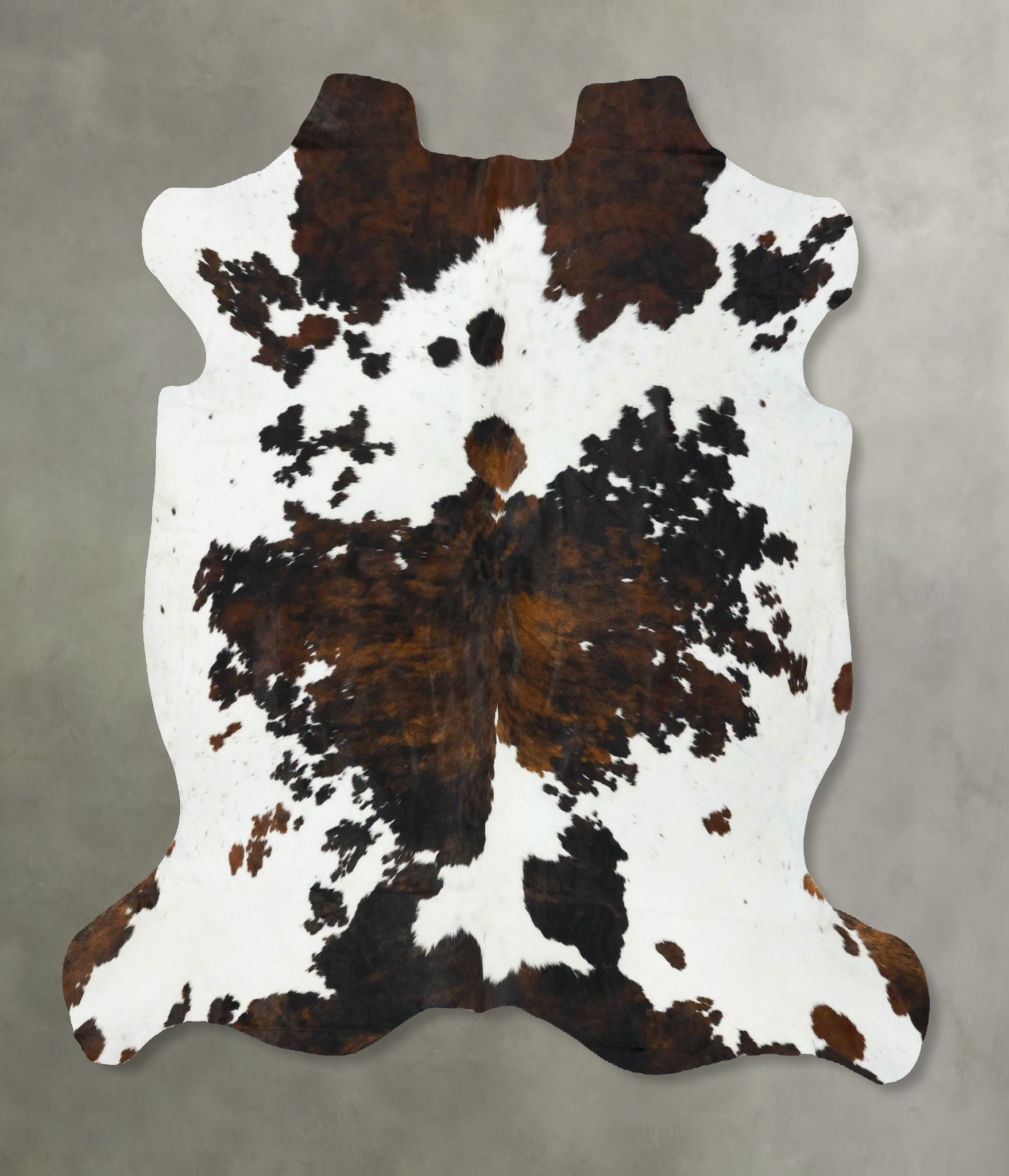Tricolor Cowhide Rug #B22751