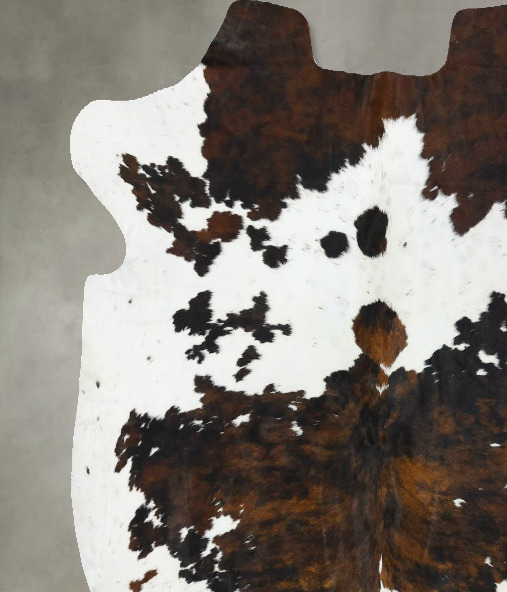 Tricolor Cowhide Rug #B22751
