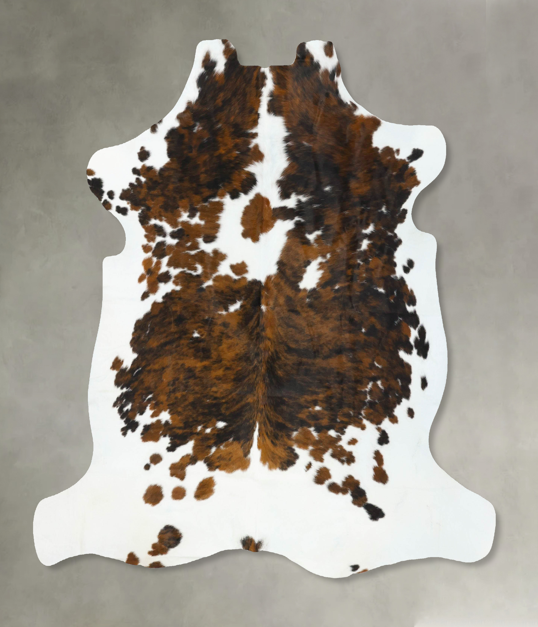 Tricolor Cowhide Rug #B22752