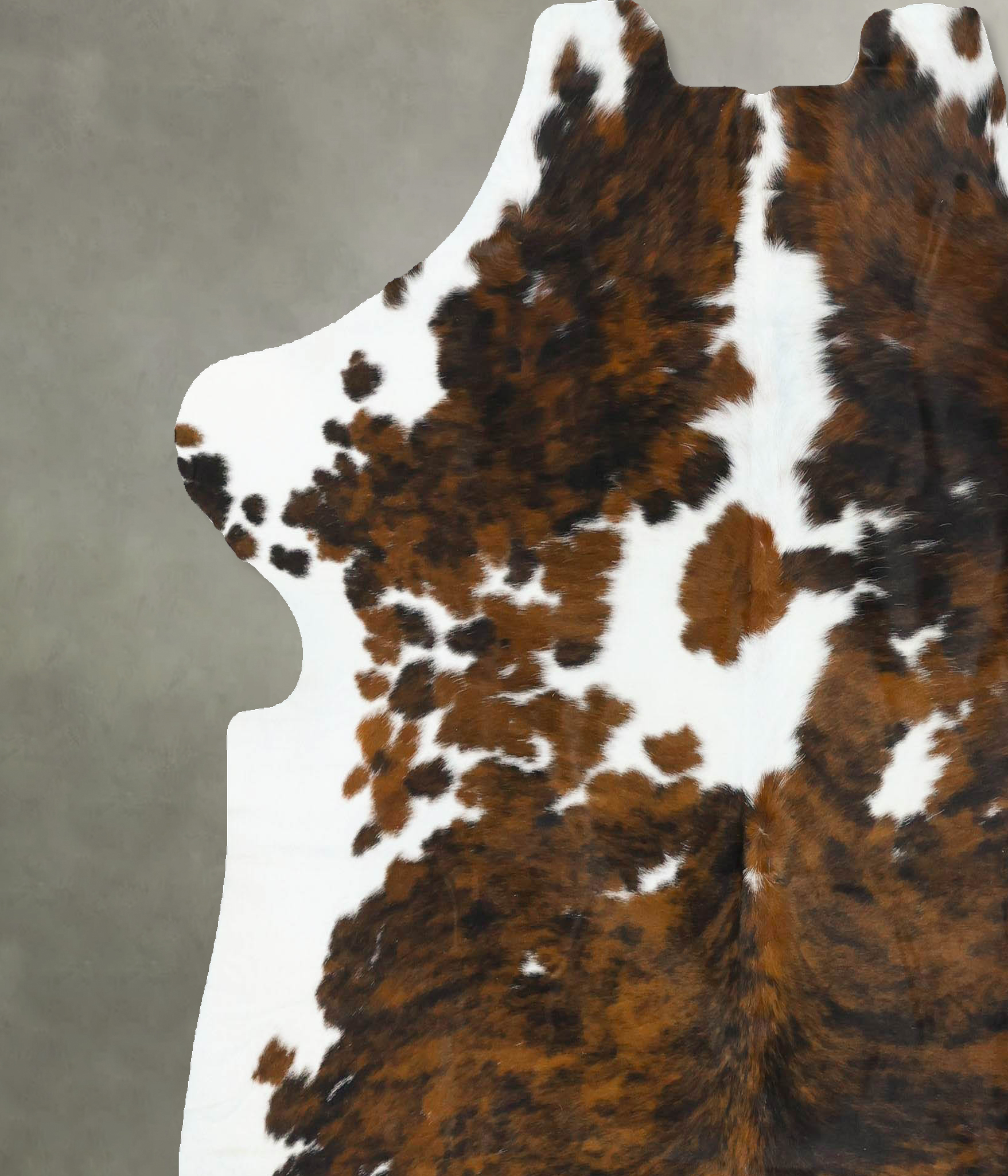 Tricolor Cowhide Rug #B22752