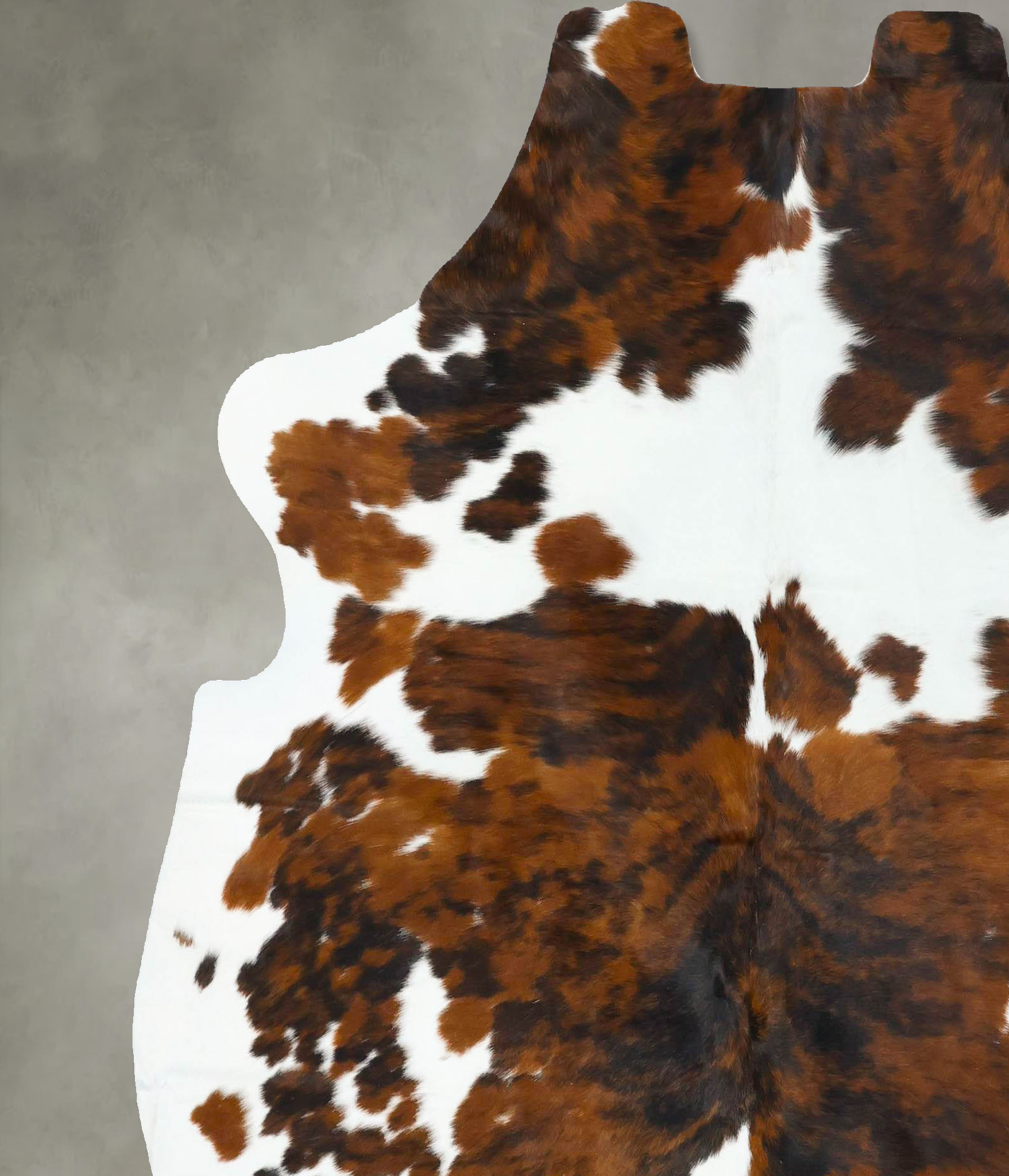 Tricolor Cowhide Rug #B22753