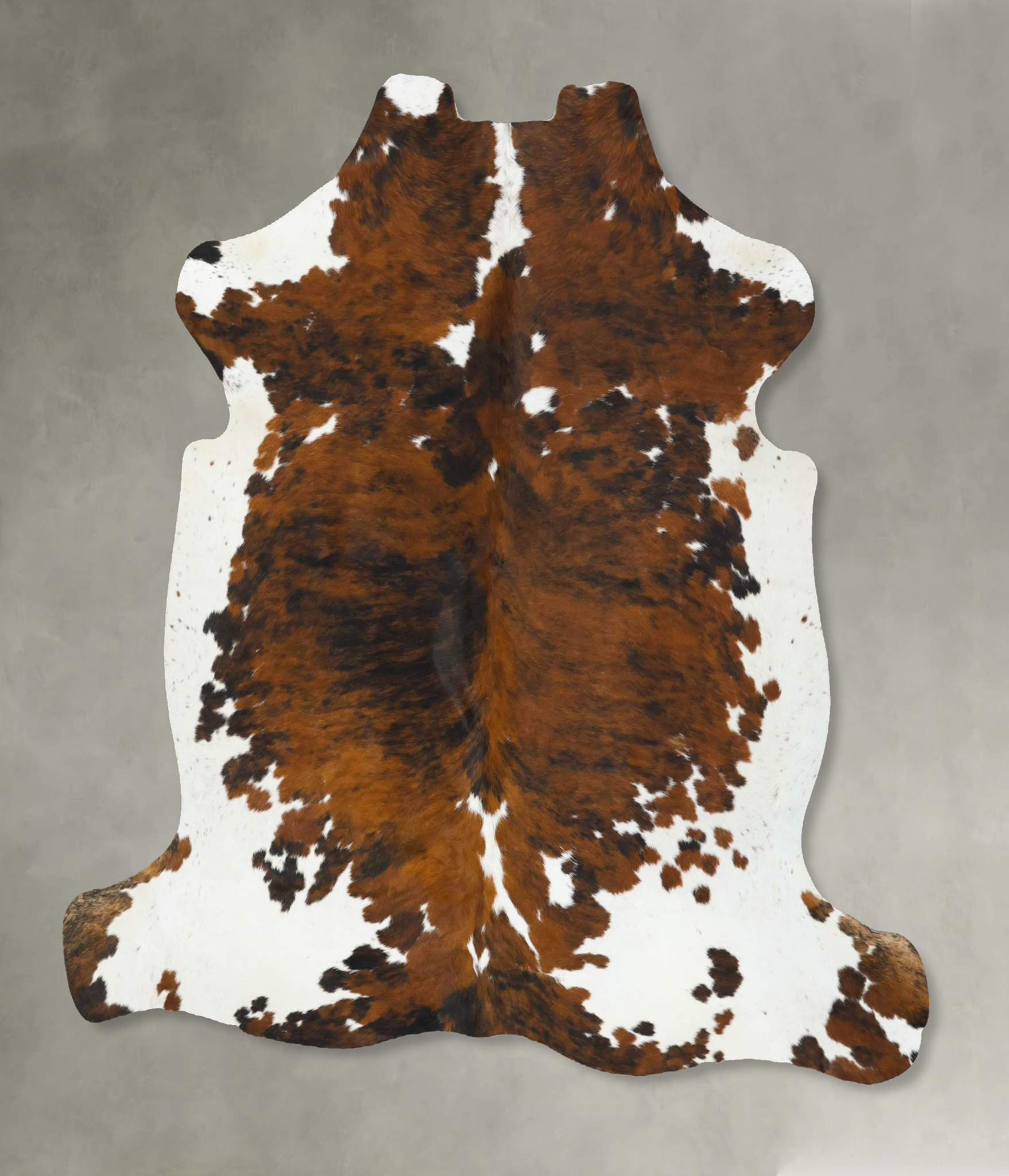 Tricolor Cowhide Rug #B22756