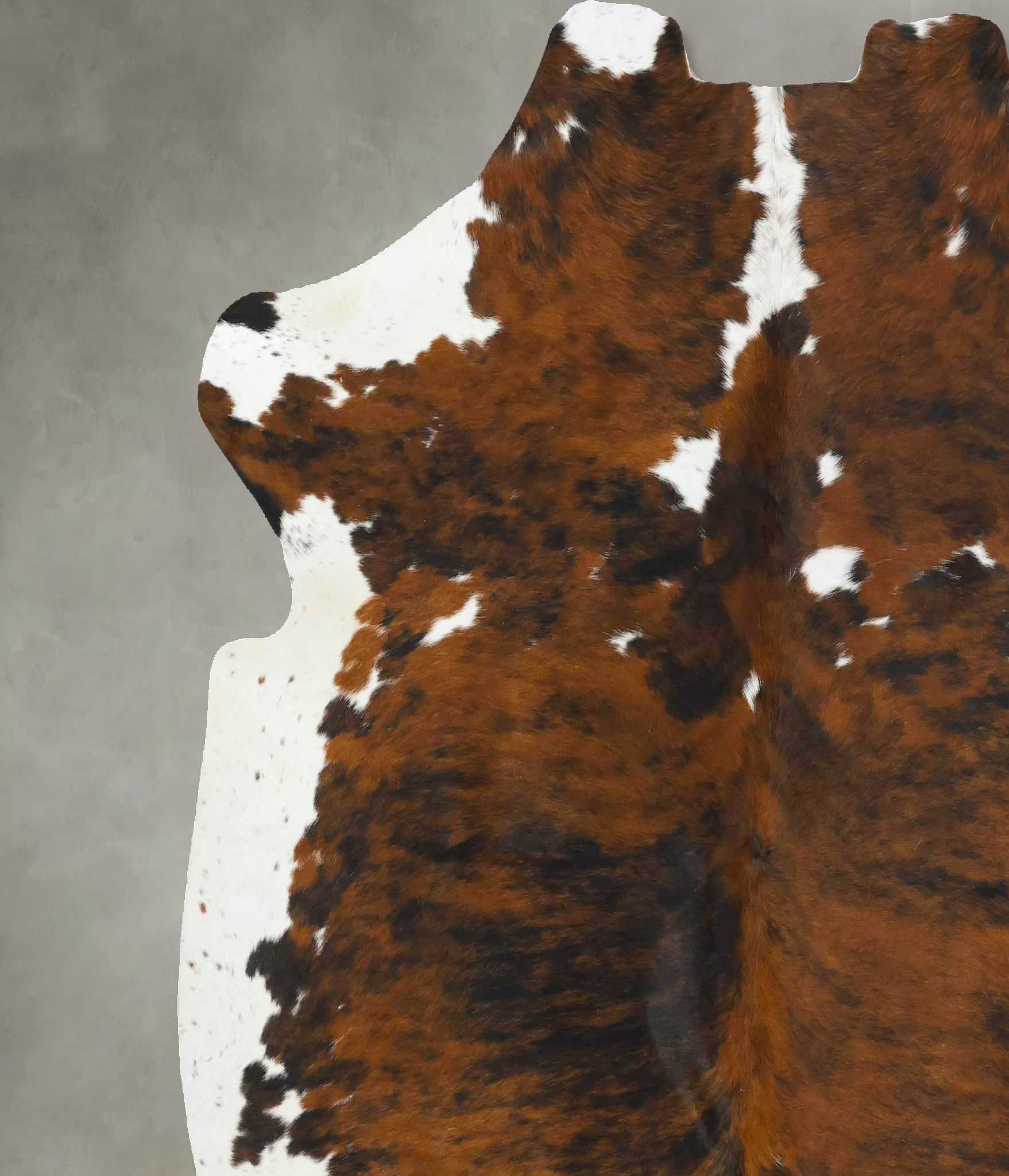 Tricolor Cowhide Rug #B22756