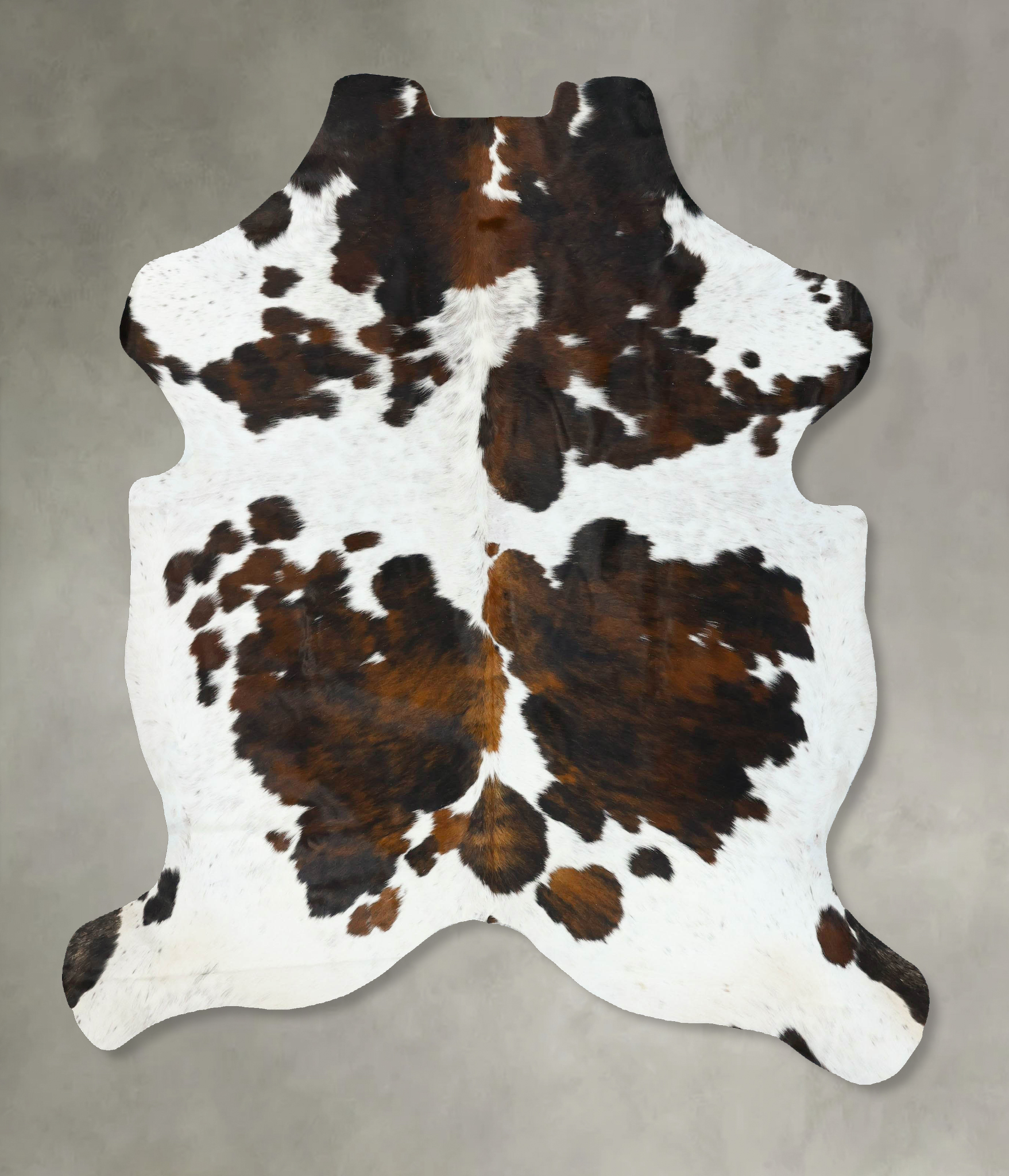 Tricolor Cowhide Rug #B22757