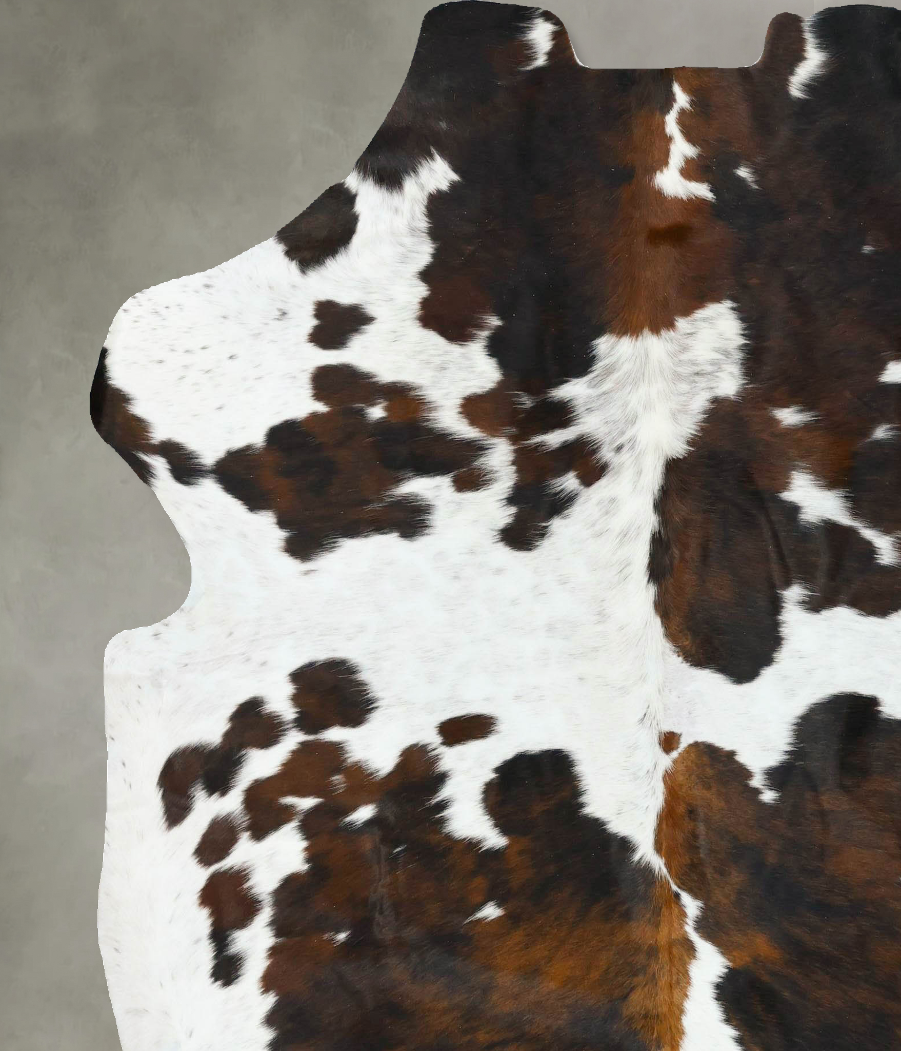Tricolor Cowhide Rug #B22757