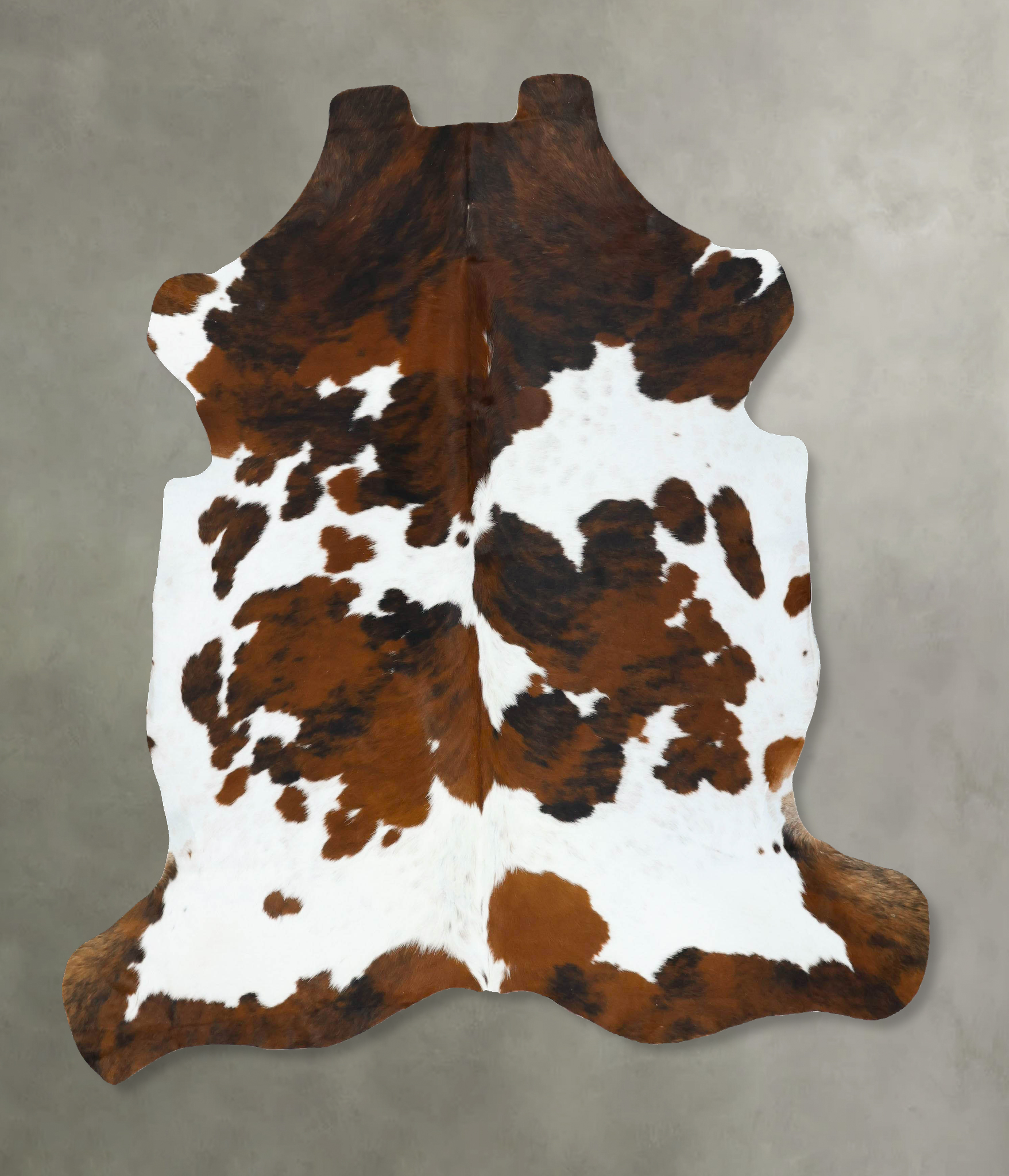 Tricolor Cowhide Rug #B22760