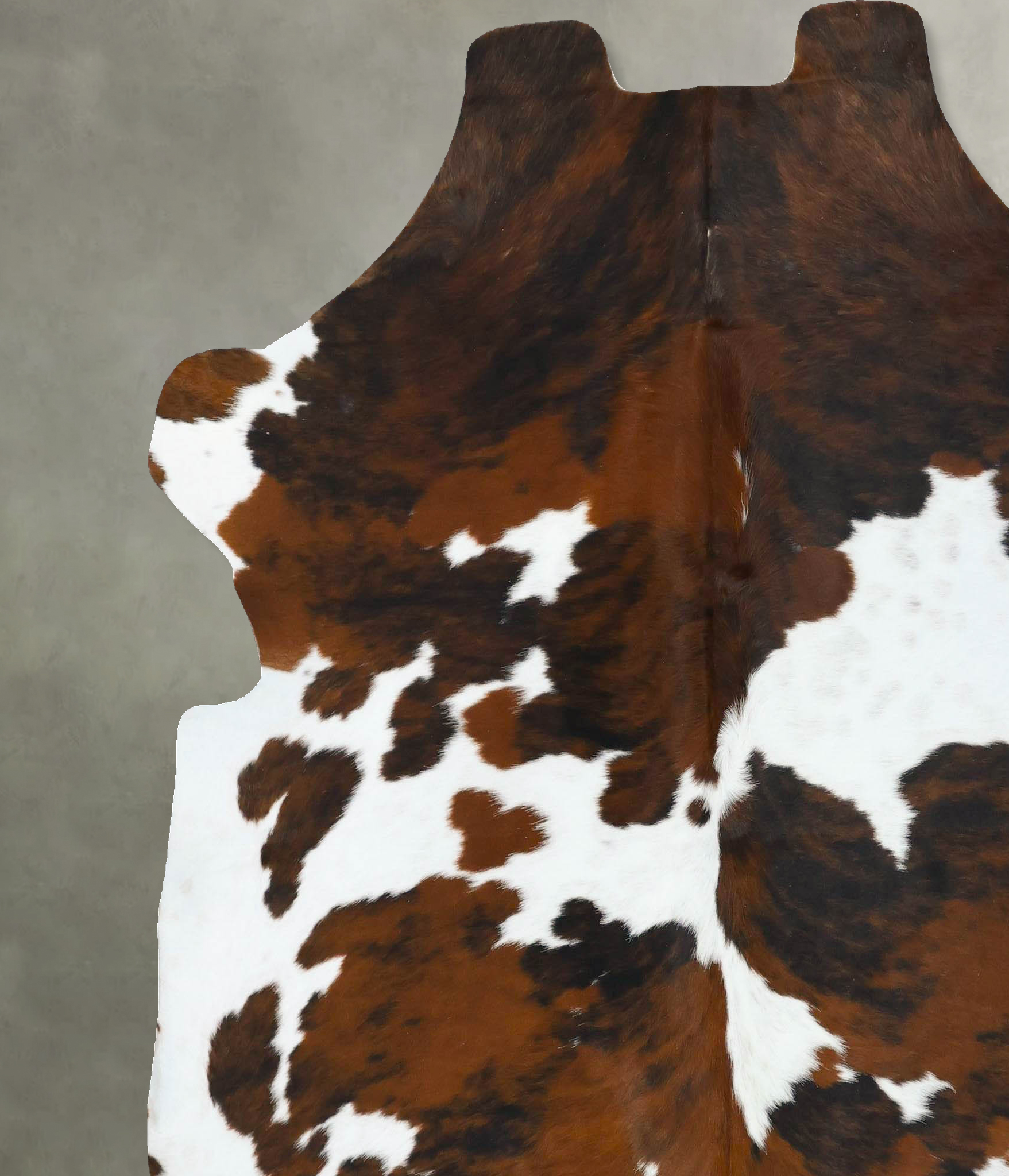 Tricolor Cowhide Rug #B22760
