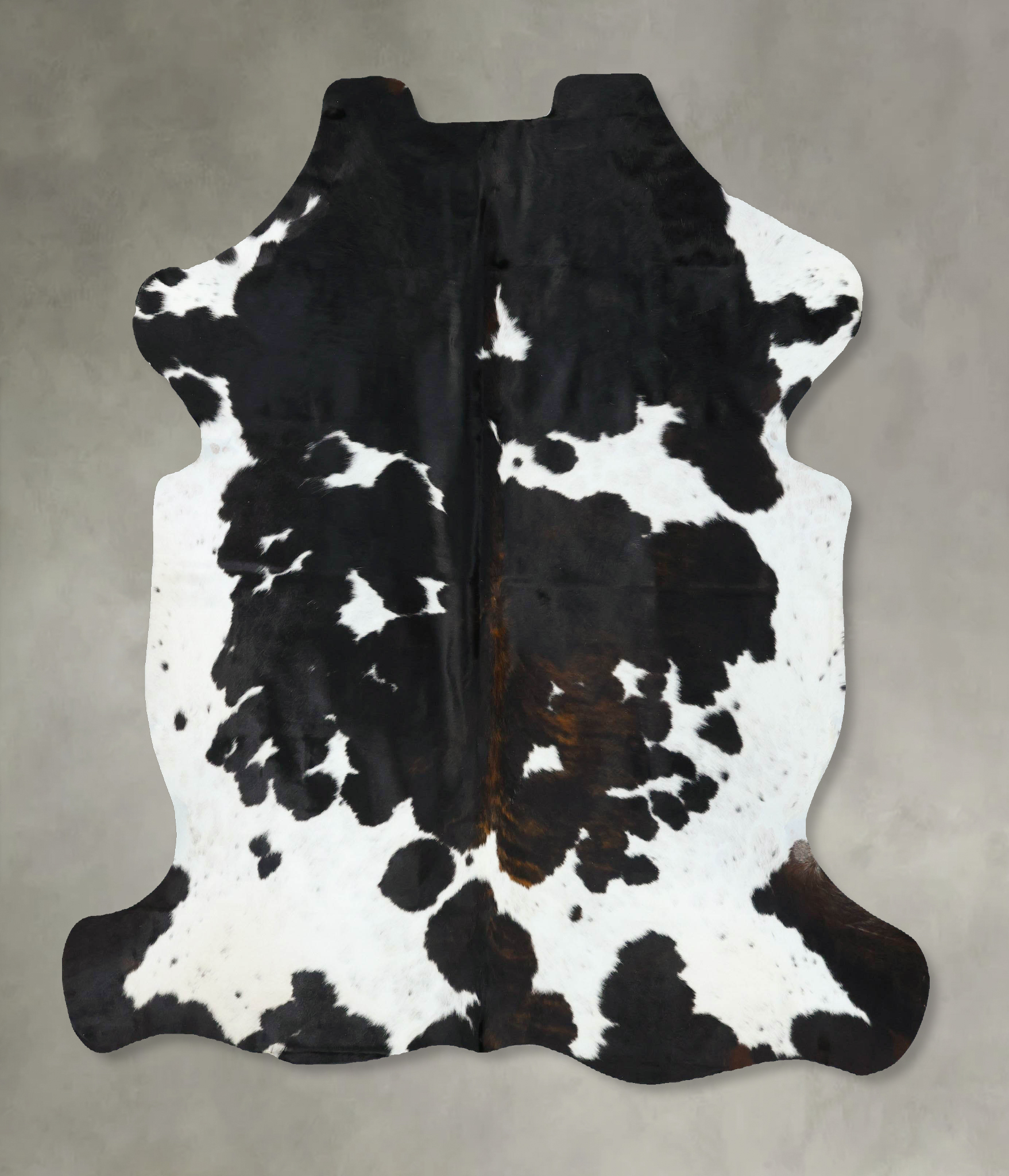 Tricolor Cowhide Rug #B22761