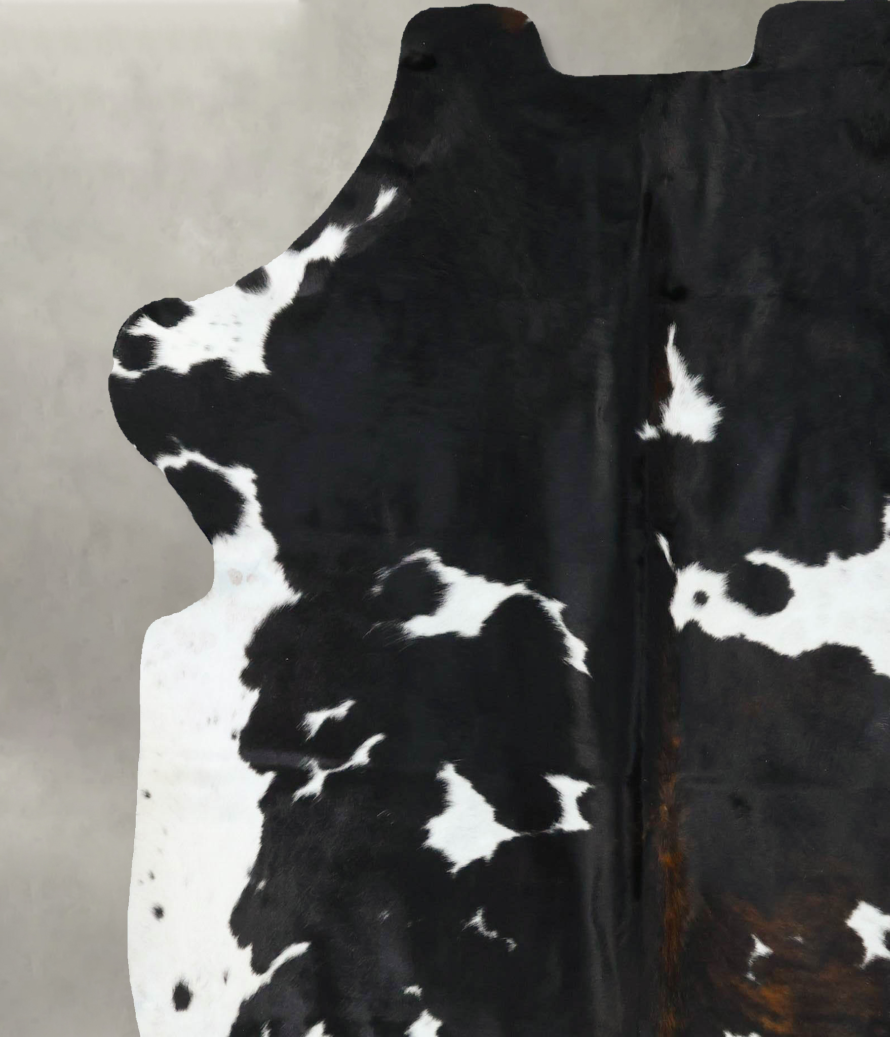 Tricolor Cowhide Rug #B22761