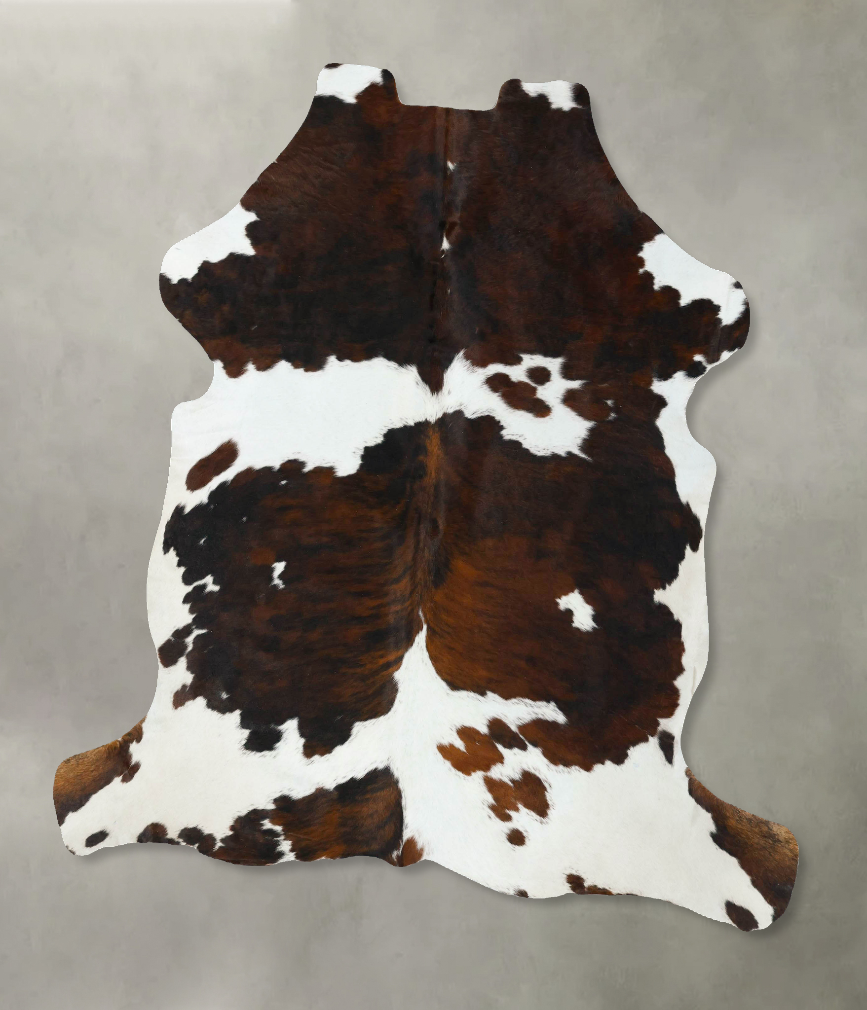 Tricolor Cowhide Rug #B22763