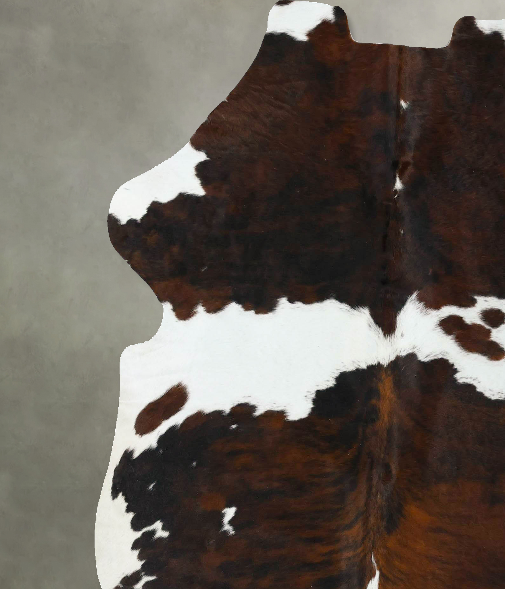 Tricolor Cowhide Rug #B22763