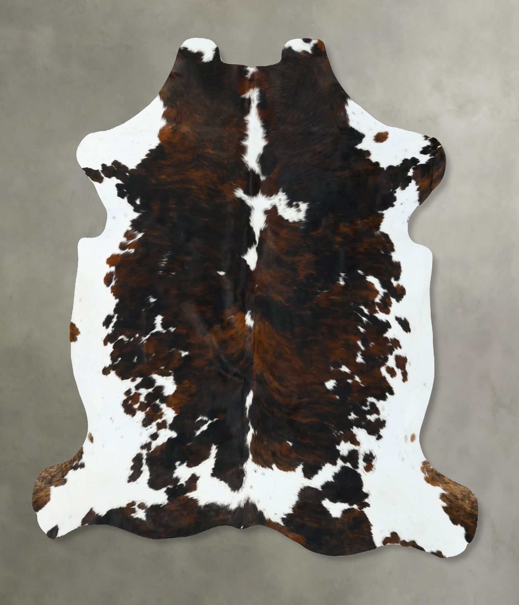 Tricolor Cowhide Rug #B22764